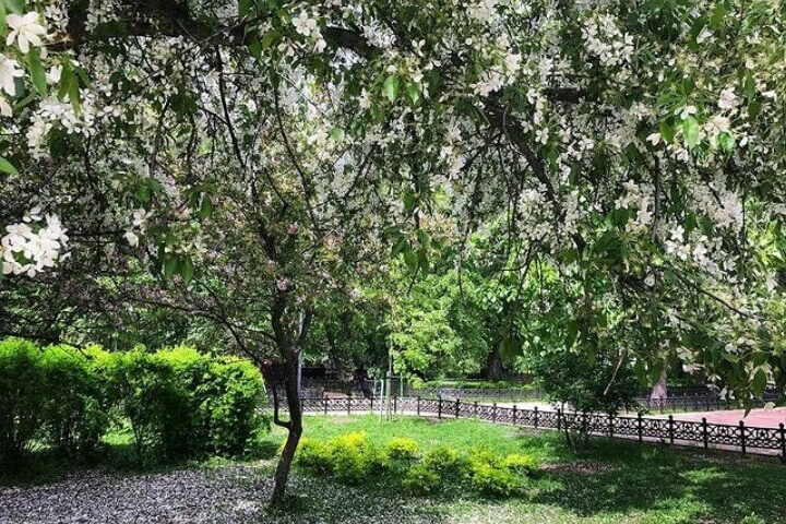 НЕБАНАЛЬНАЯ МОСКВА. Портретный фотограф Москва Юлия Трякина