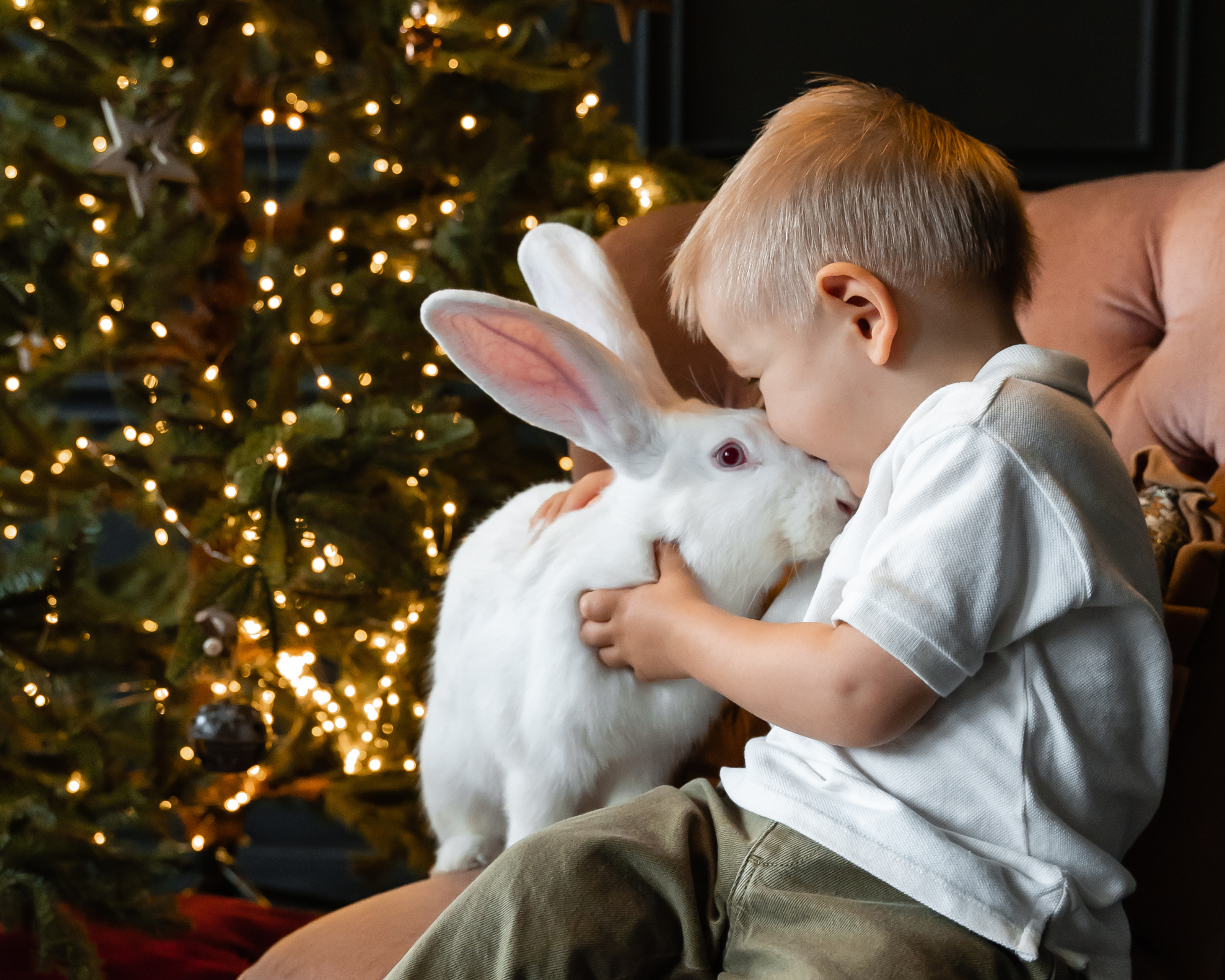 Милена. Фотостудия Молоко в Минске