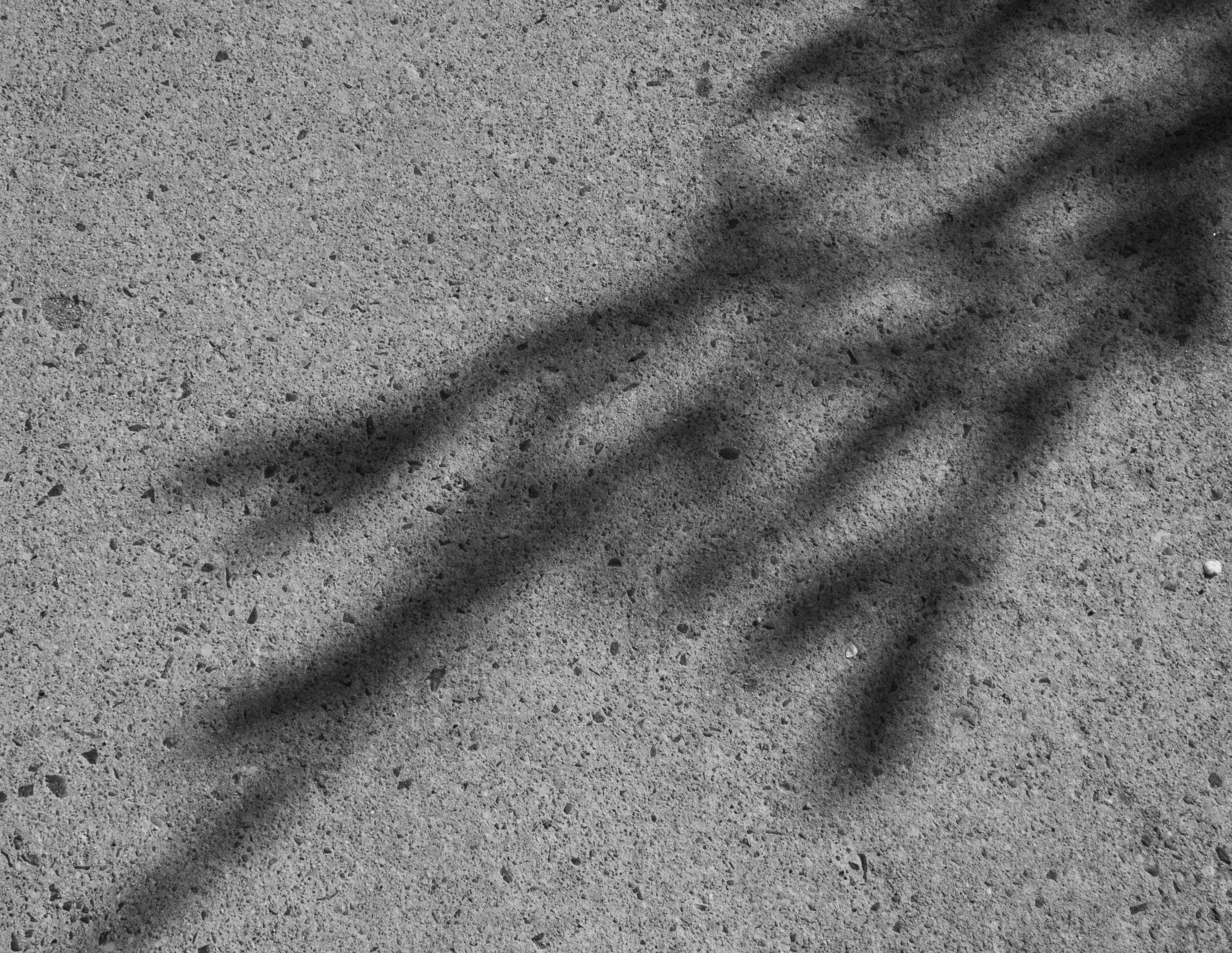 Инородное тело