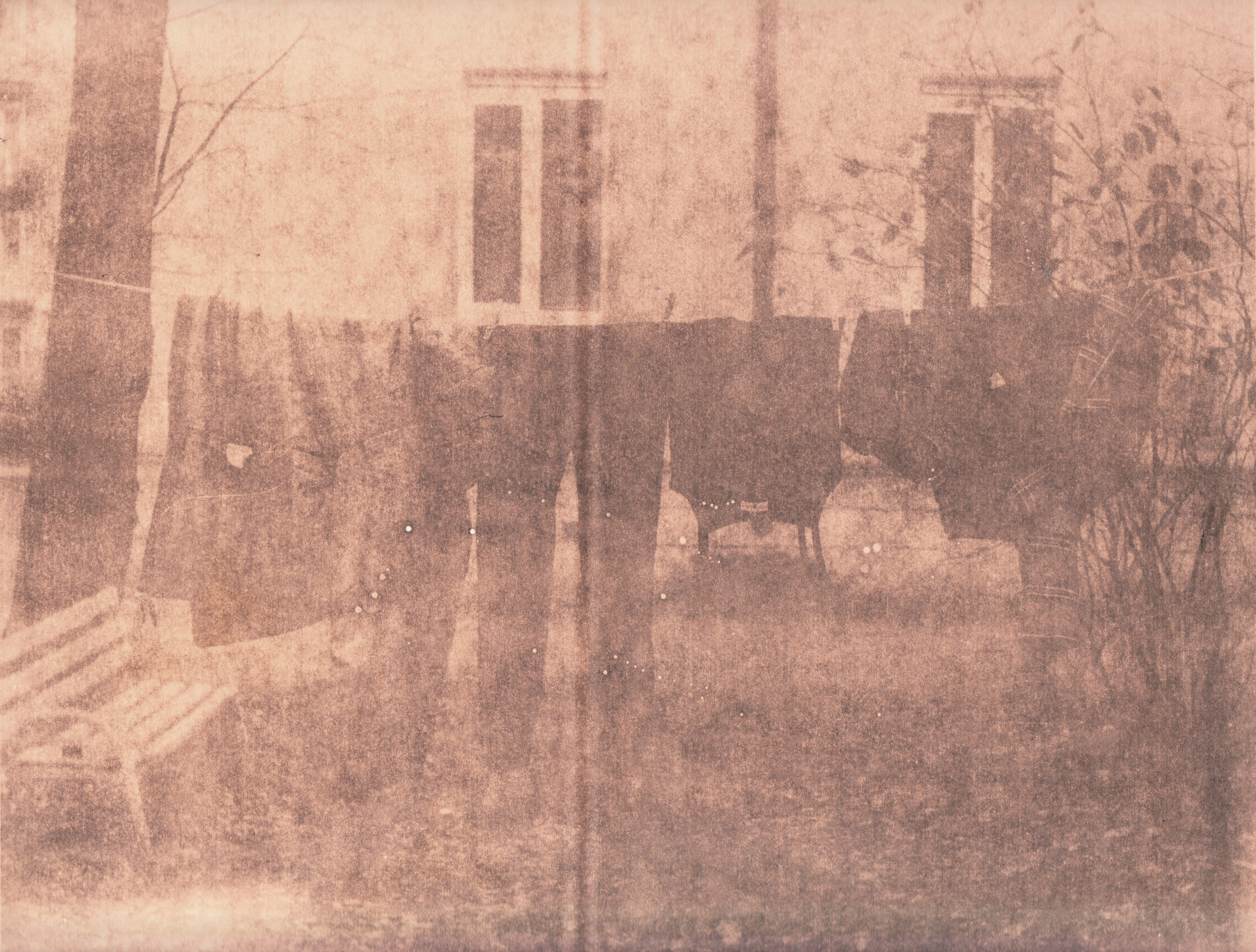 Ручные методы печати. Аналоговые отпечатки. Лит-печать. Татьяна Мищенко — фотохудожник. Междисциплинарный художник, основные медиумы: фотография, графика, коллаж. Портретный фотограф город Дубна