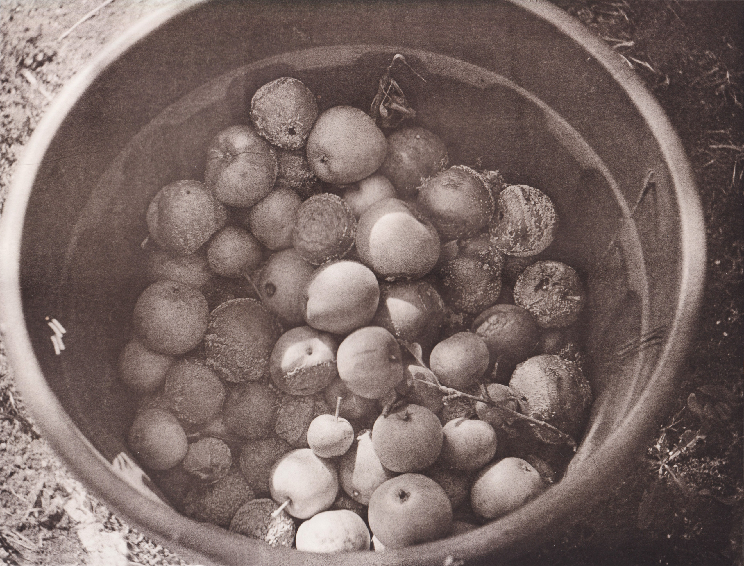 Ручные методы печати. Аналоговые отпечатки. Лит-печать. Татьяна Мищенко — фотохудожник. Междисциплинарный художник, основные медиумы: фотография, графика, коллаж. Портретный фотограф город Дубна