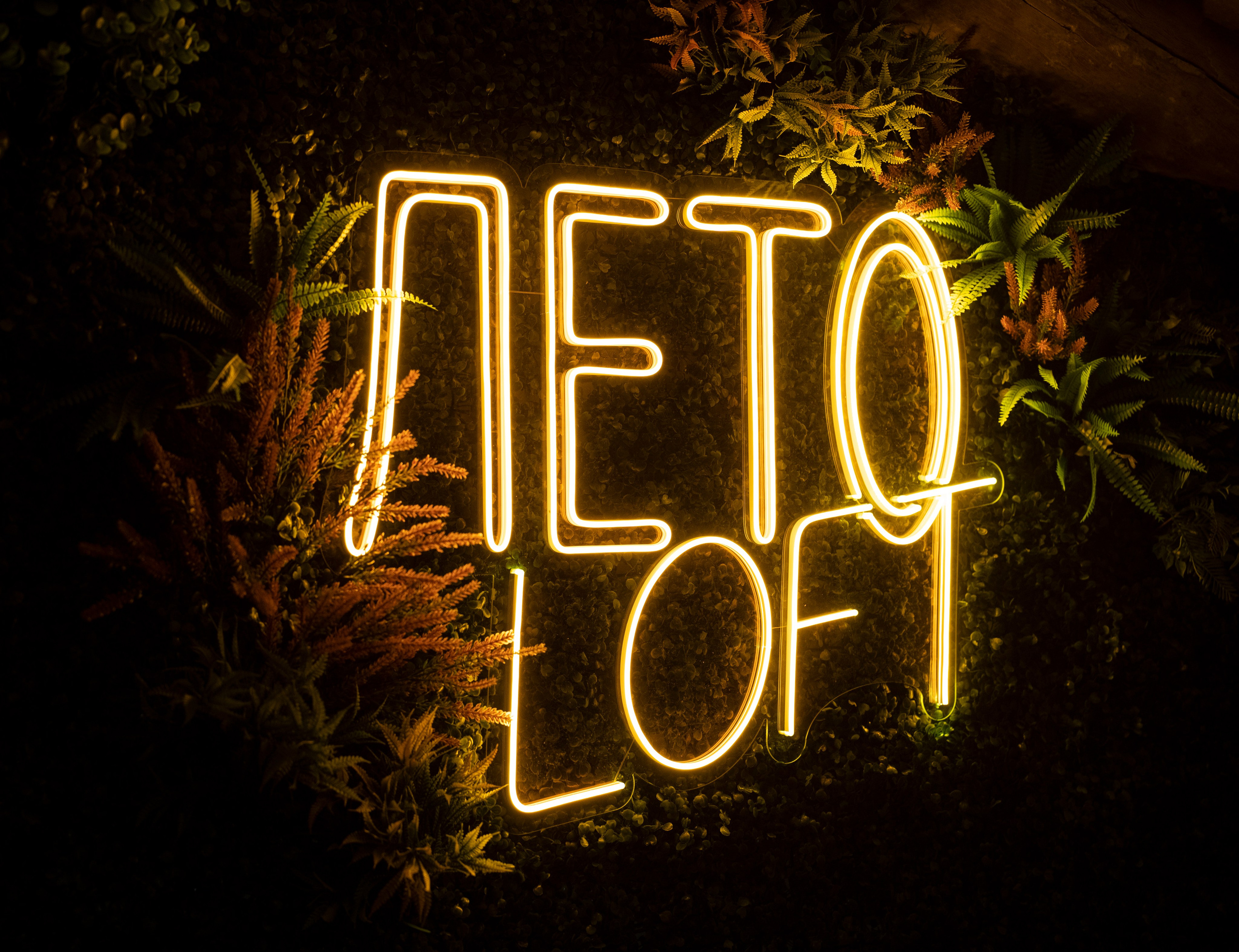 LetoLoft. Екатерина Чаечка