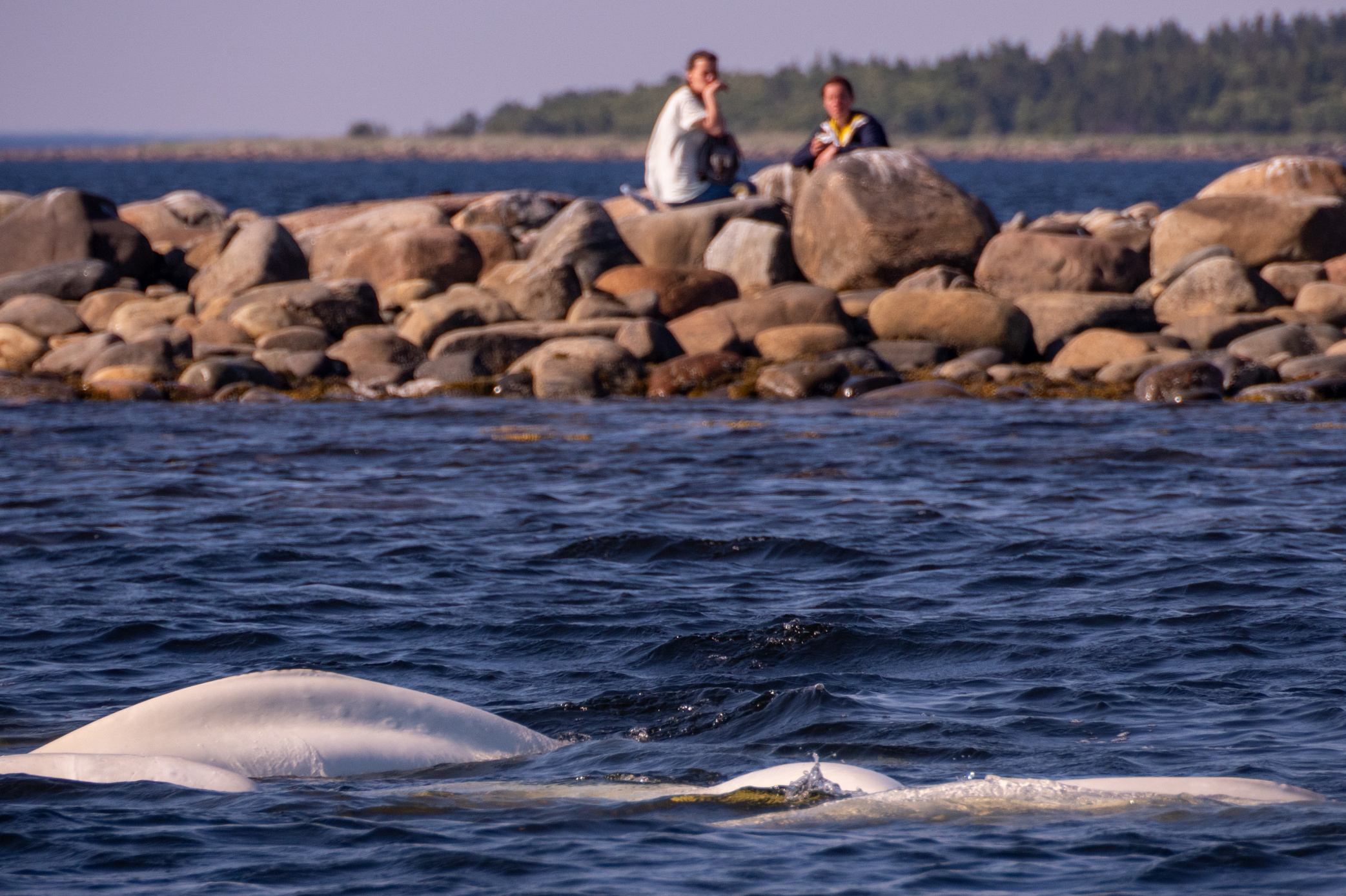 Фотопутешествие на Соловки. Фотограф Александр Головин