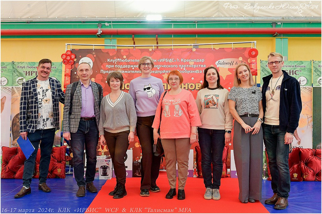 Международные выставки кошек 2024 г. Фотограф анималист | семейный Юлия Вакуленко, г. Краснодар