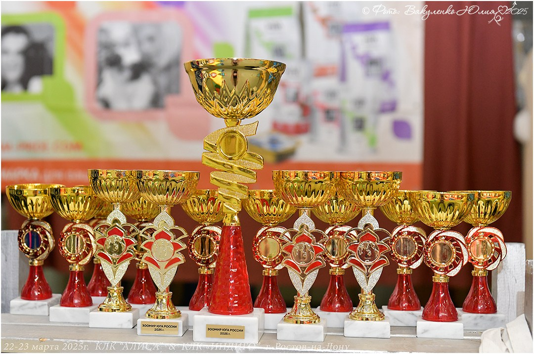 2025. Фотограф анималист | семейный Юлия Вакуленко, г. Краснодар