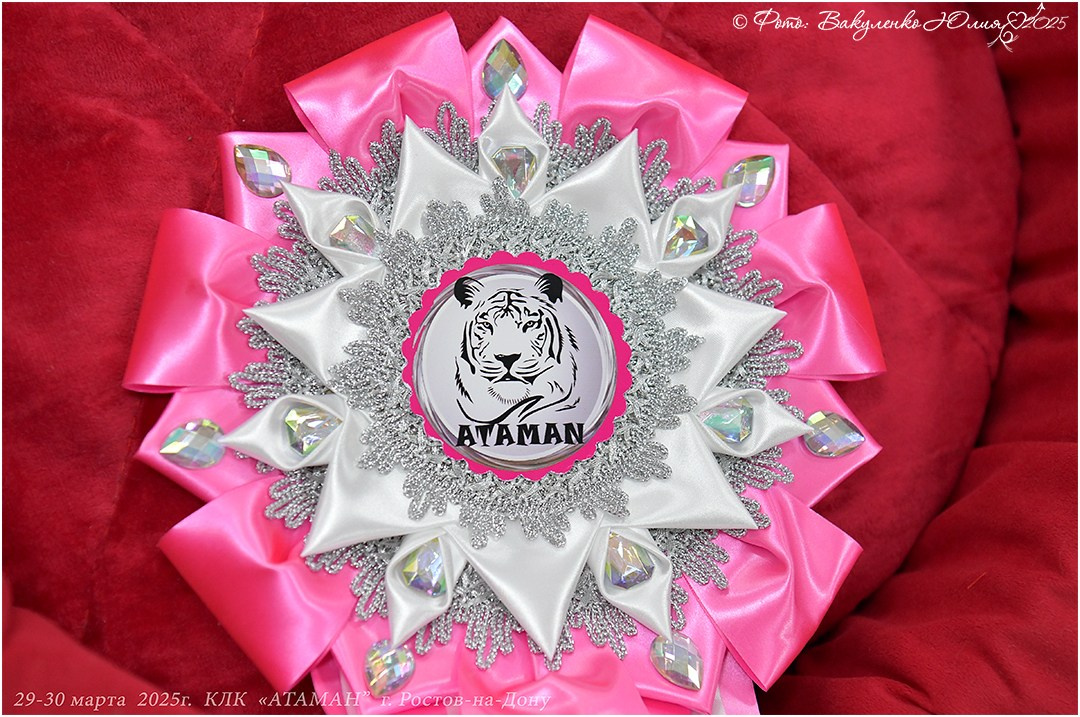 2025. Фотограф анималист | семейный Юлия Вакуленко, г. Краснодар