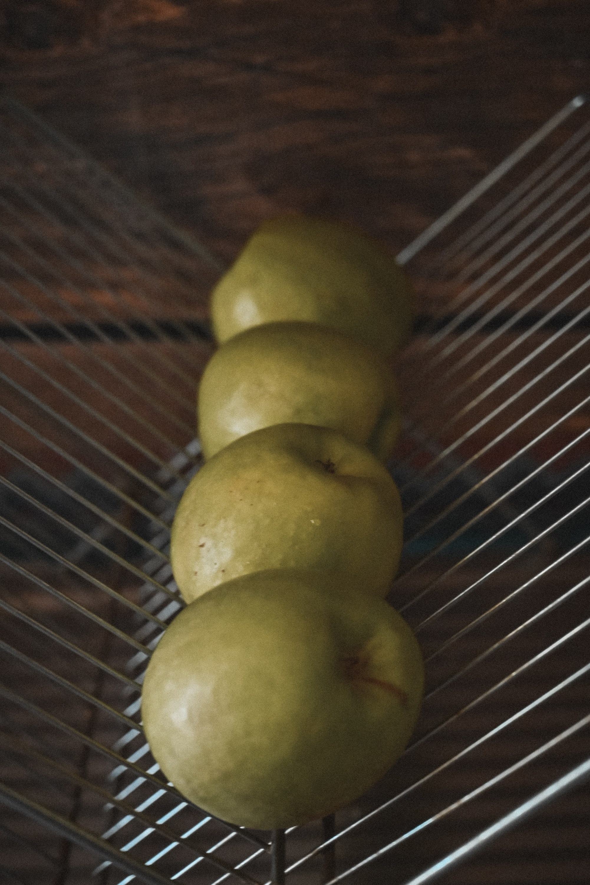 Абсент: мой путь от любопытства до мастерства. Фотограф в Санкт-Петербурге Анна Гончар