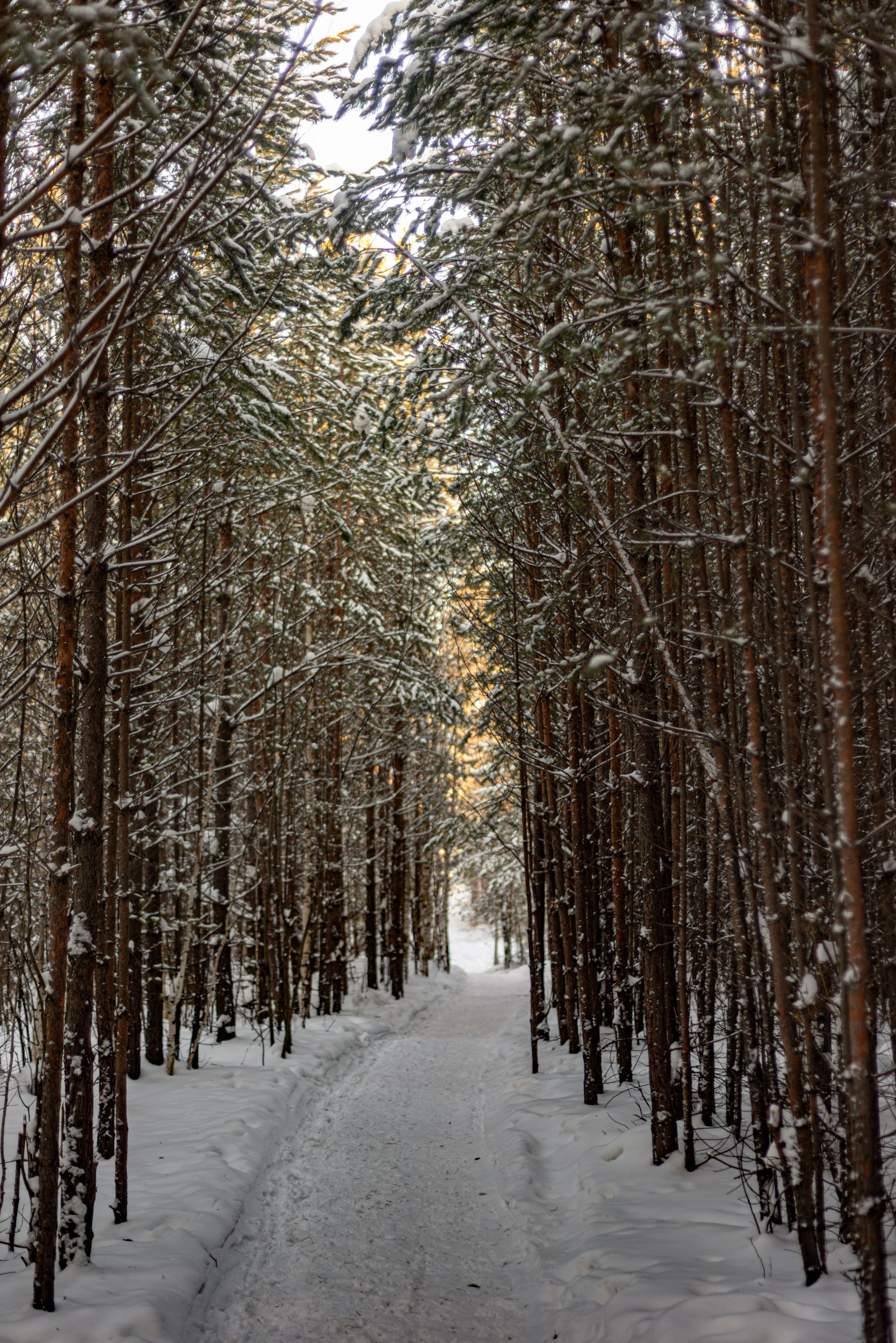 Чертово городище. Исеть. Начинающий фотограф-любитель Евгений Серебряков в Екатеринбурге