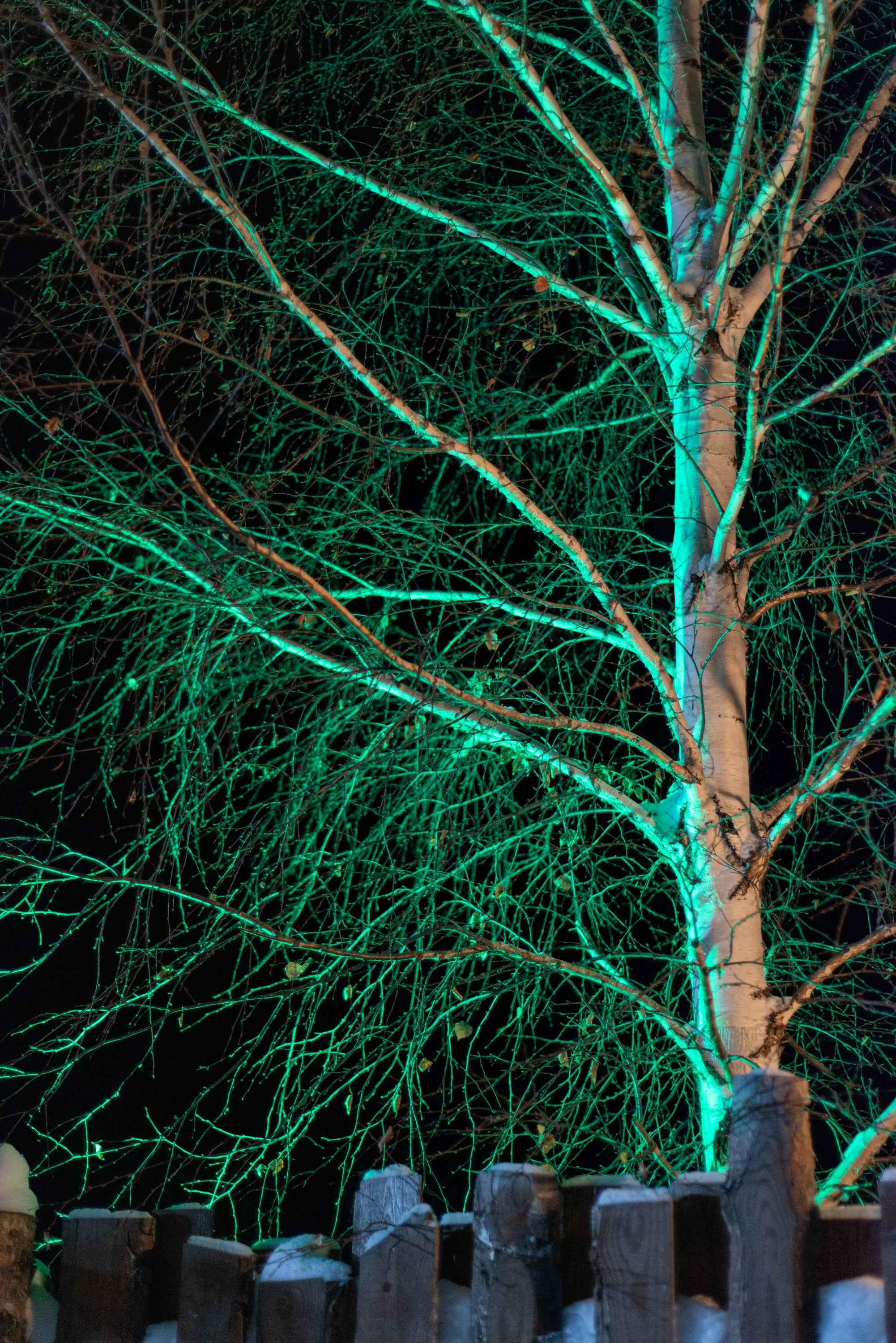 Лень. Домики. Зима. Начинающий фотограф-любитель Евгений Серебряков в Екатеринбурге