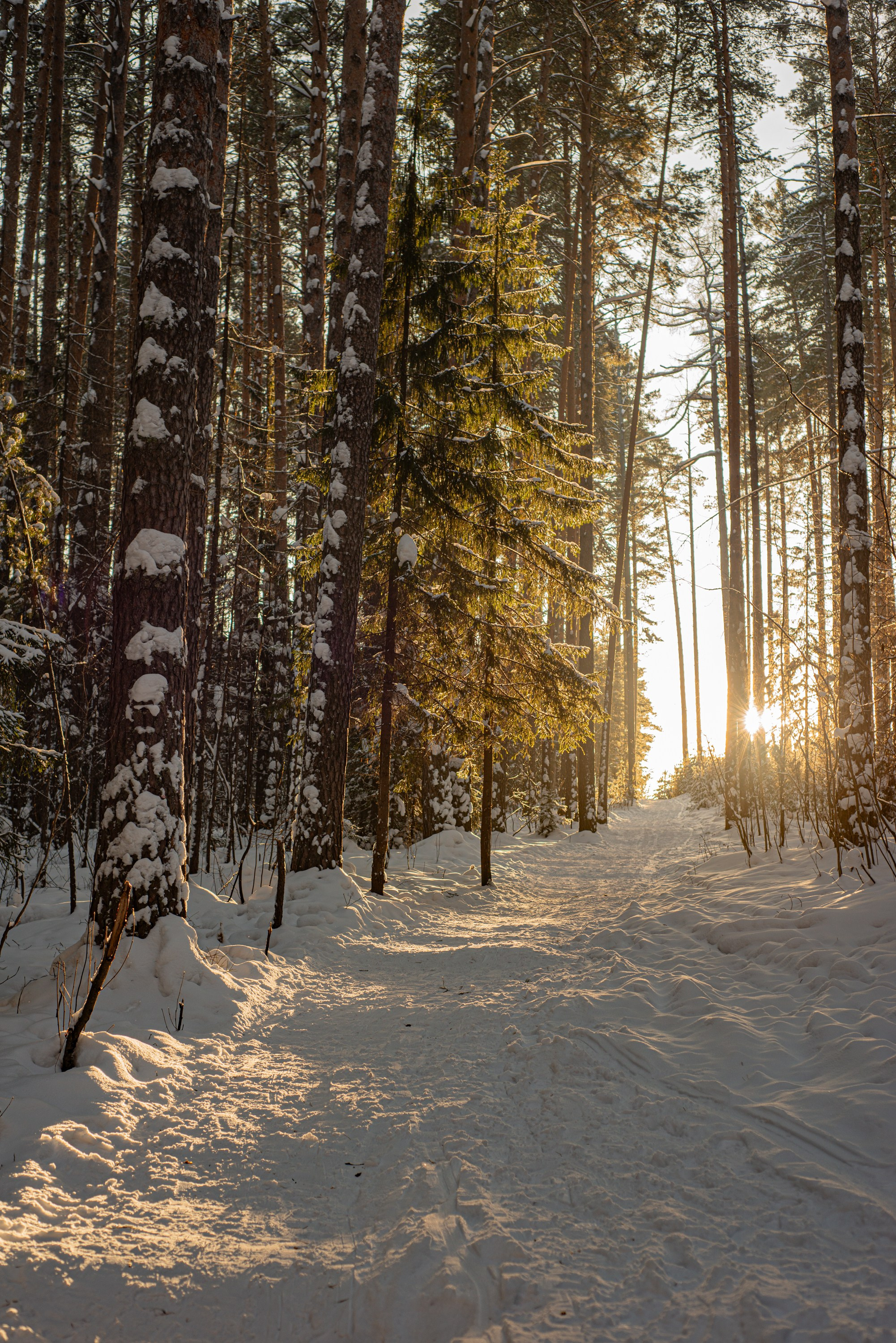 Чертово городище. Исеть. Начинающий фотограф-любитель Евгений Серебряков в Екатеринбурге