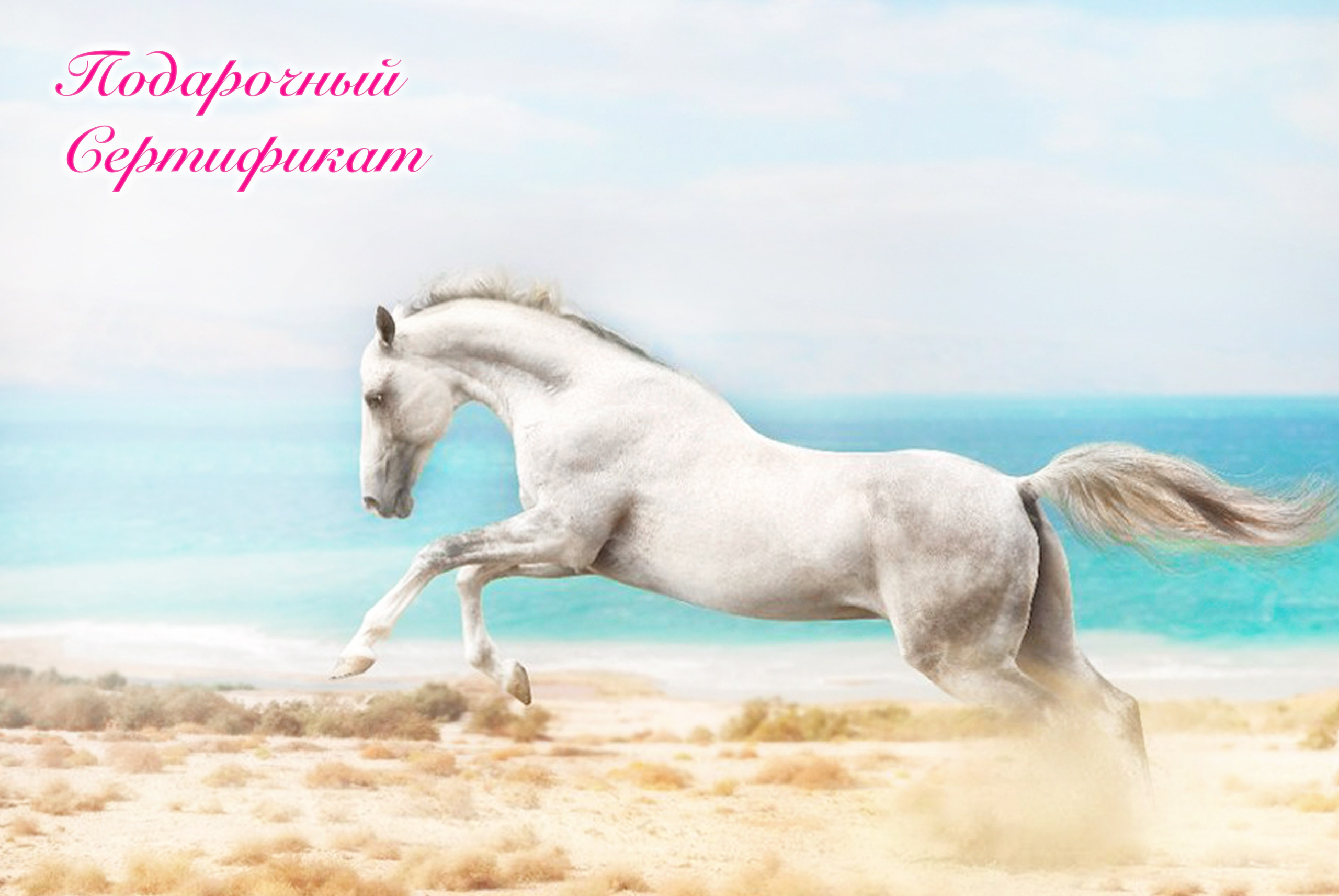 электронный подарочный сертификат