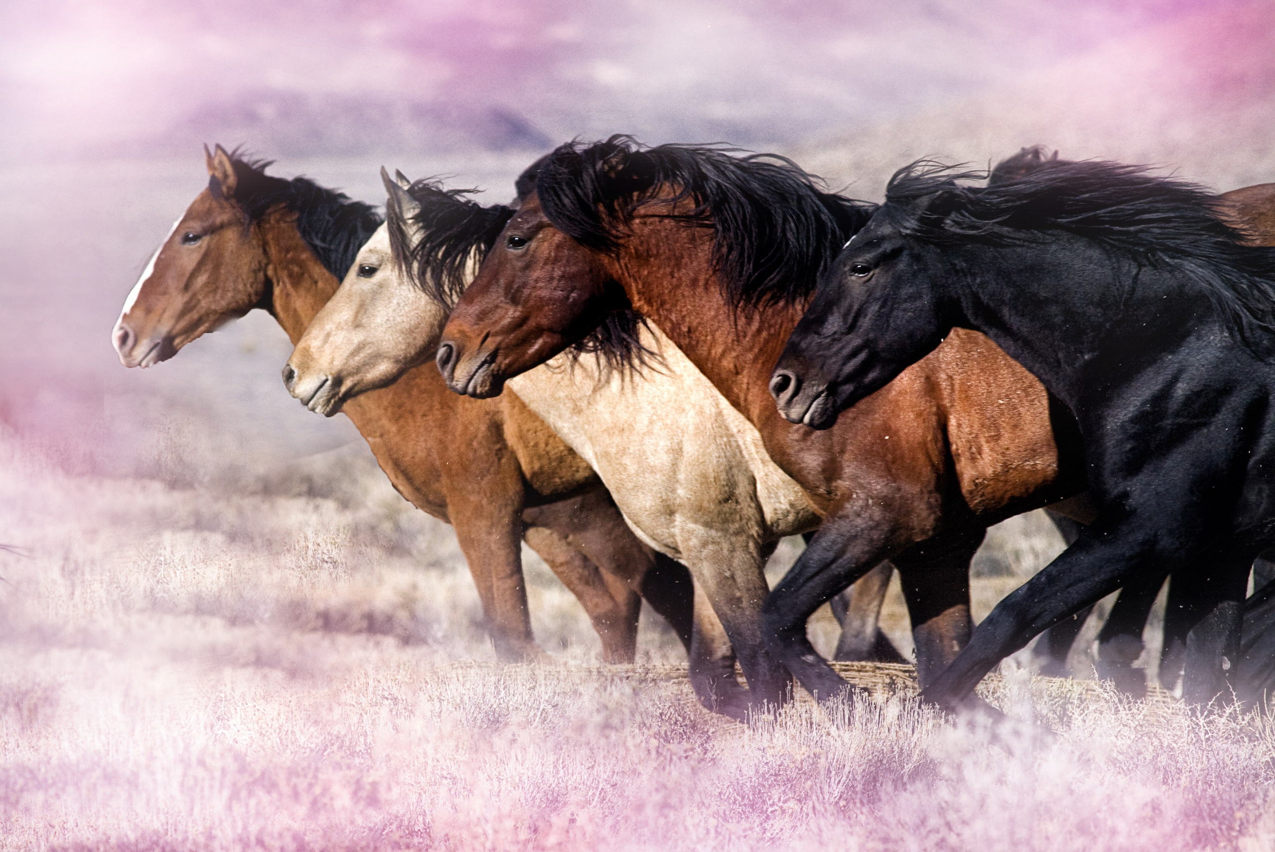 подарочные сертификаты для мужчин, подарок для мужа, подарок супругу