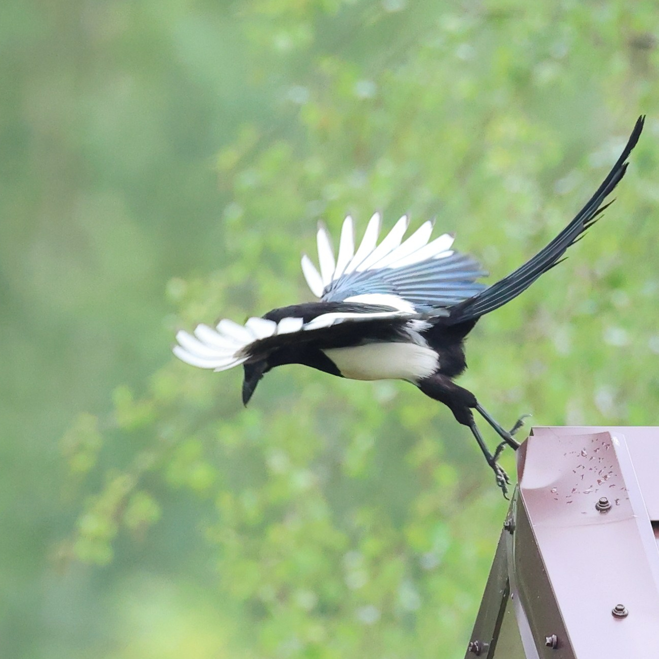 Большой уикенд. Пятница