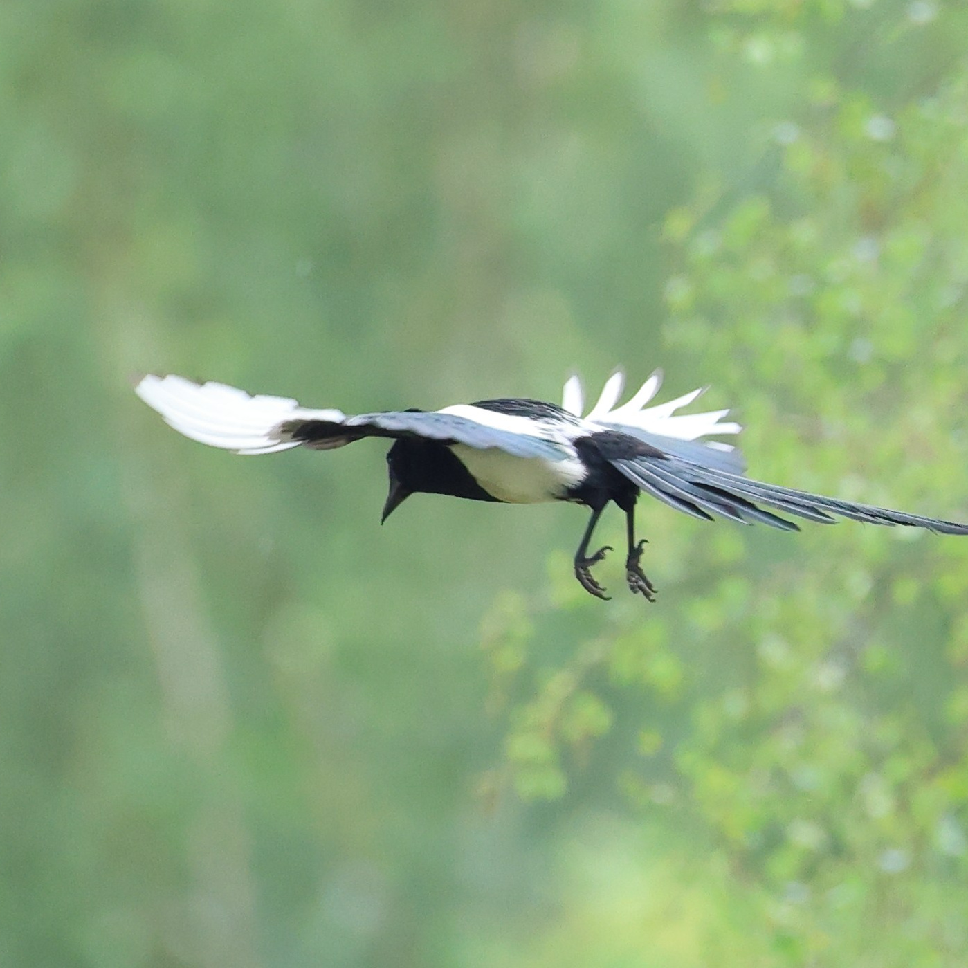 Большой уикенд. Пятница