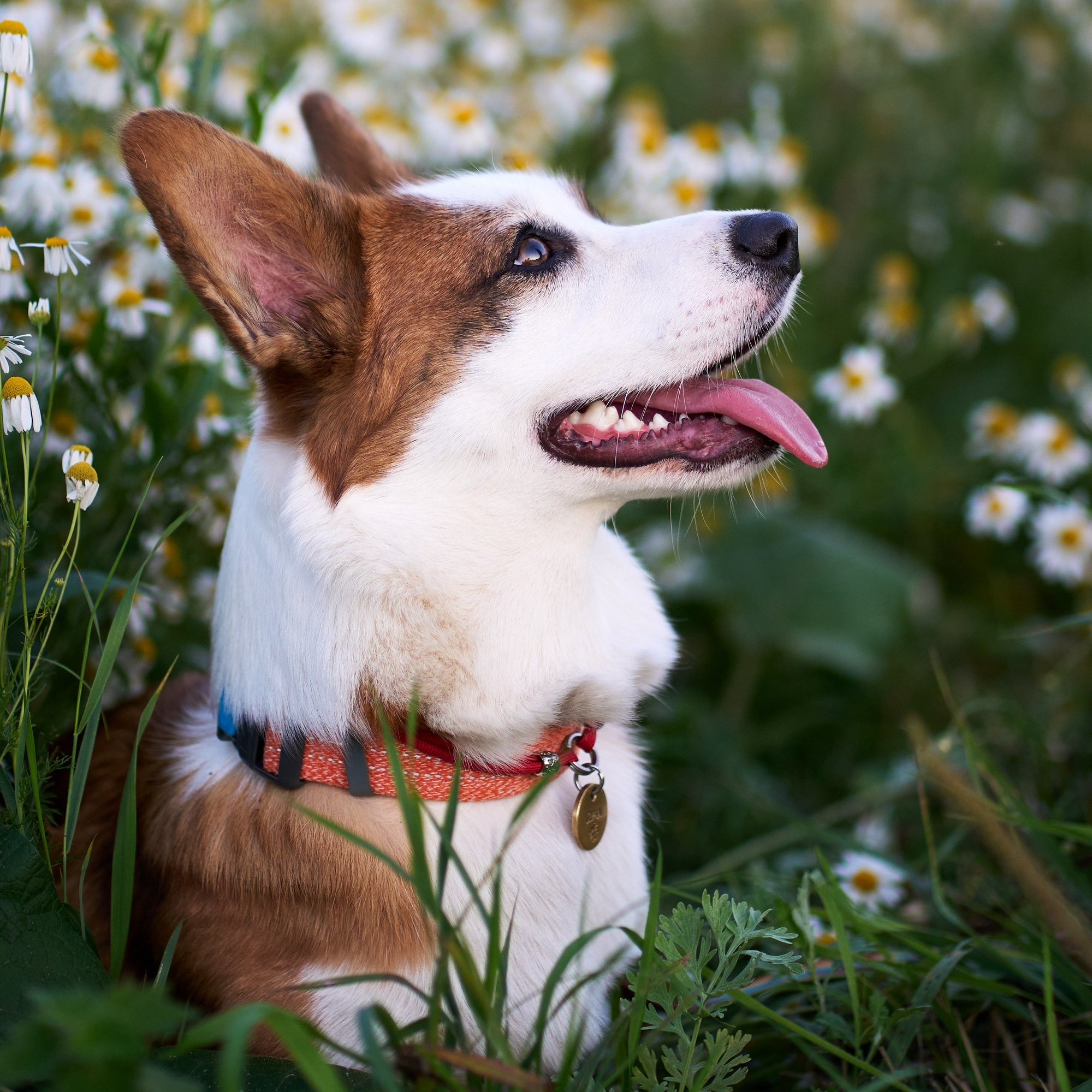 Заказать съемку. Фотограф в Екатеринбурге Анастасия Фе