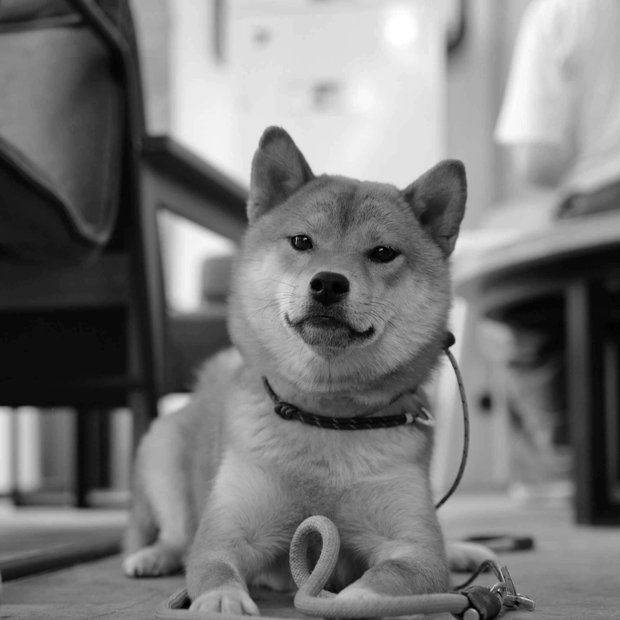 Order a black and white photo shoot