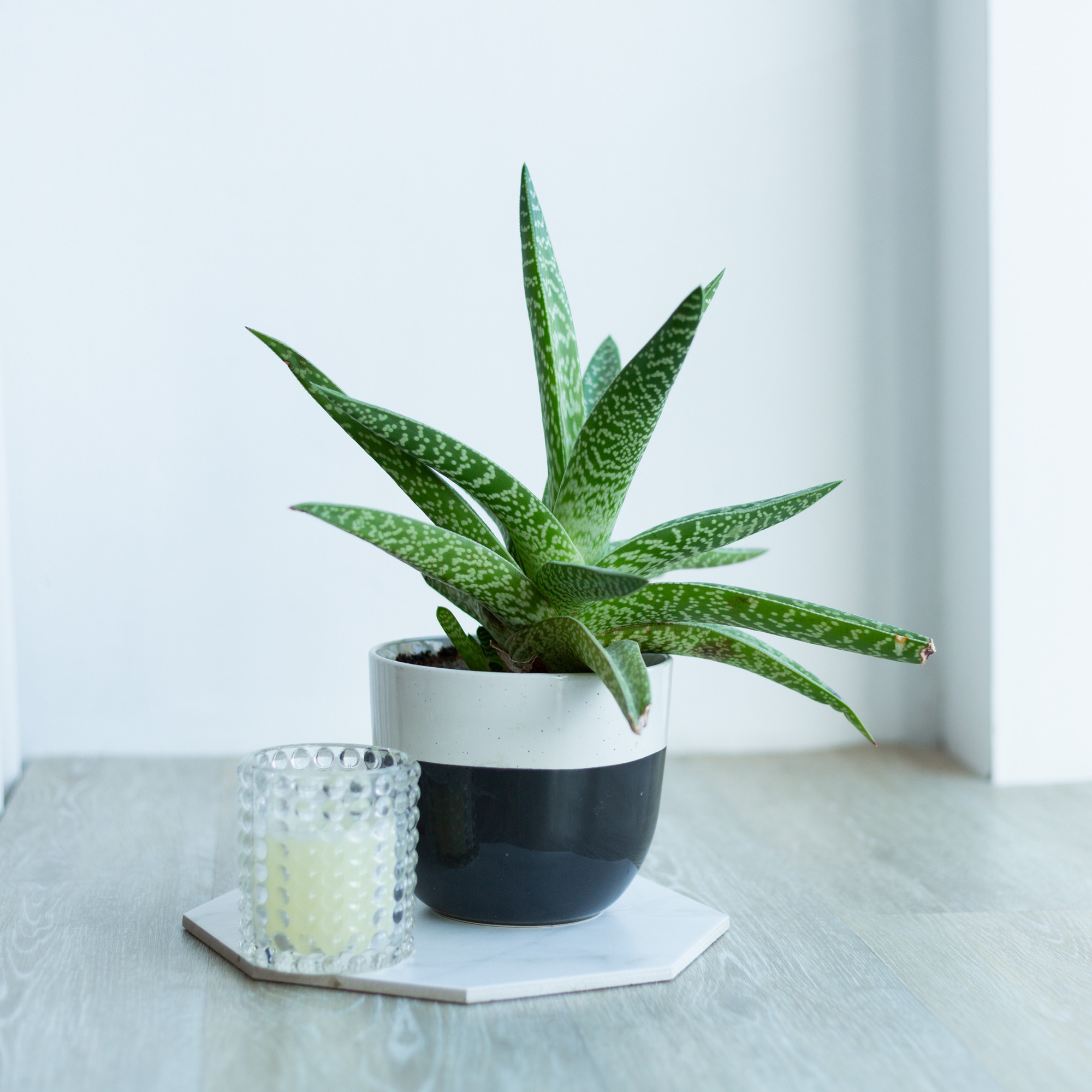 Контент фотосессия. Женский и семейный фотограф в Екатеринбурге Маша Пруц