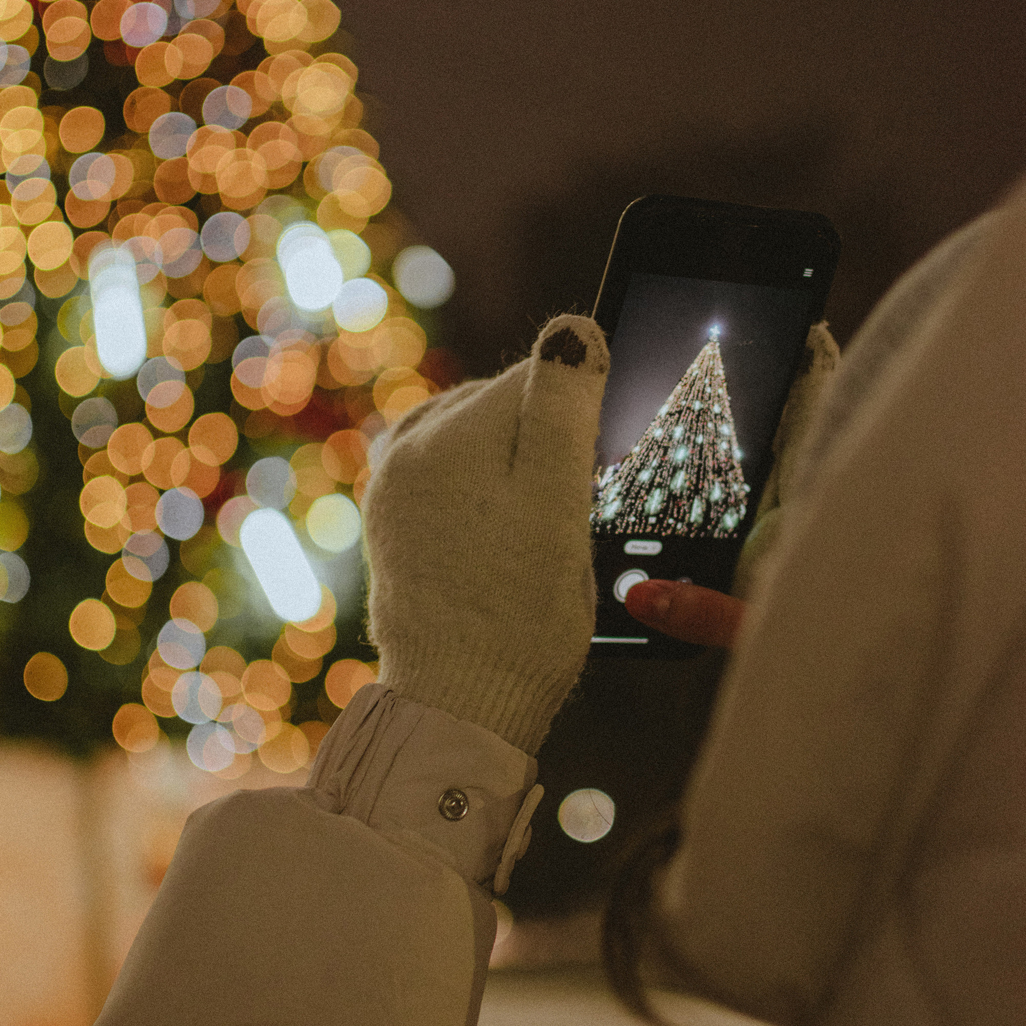 Контакты. Фотограф Новочеркасск Ольга Мальцева