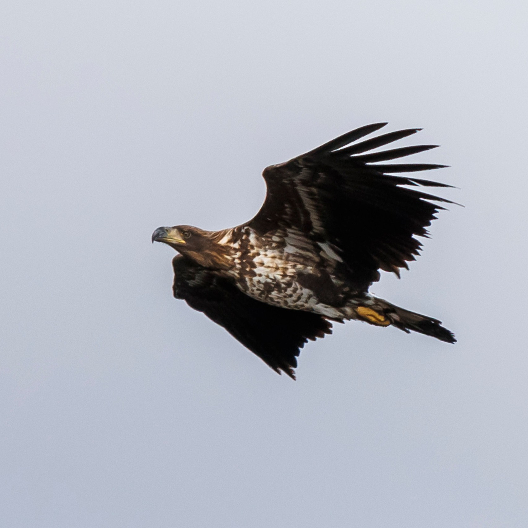 Услуги и цены. Свадебный, семейный и репортажный фотограф в Южно-Сахалинске Артур Петросян
