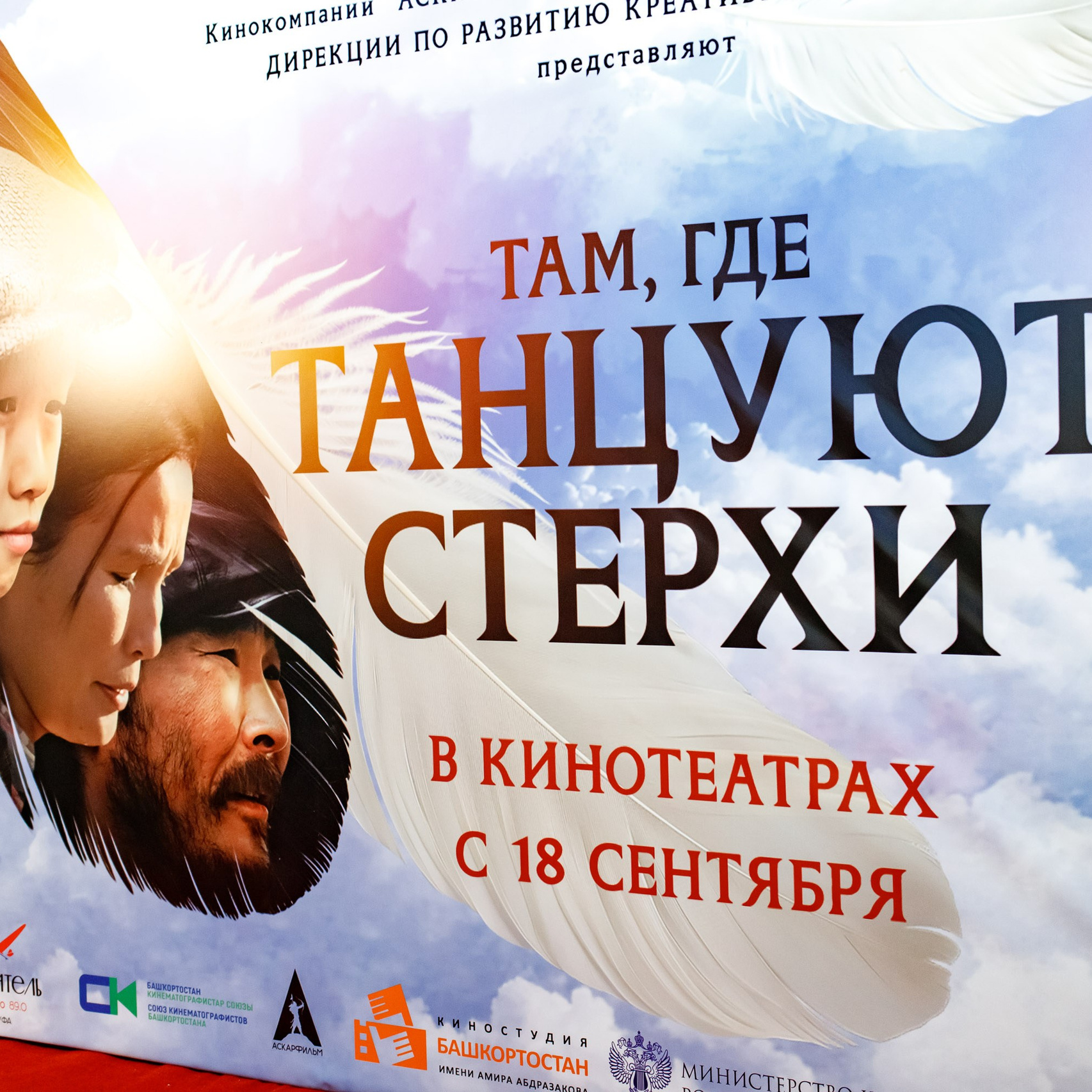 Фотоотчеты