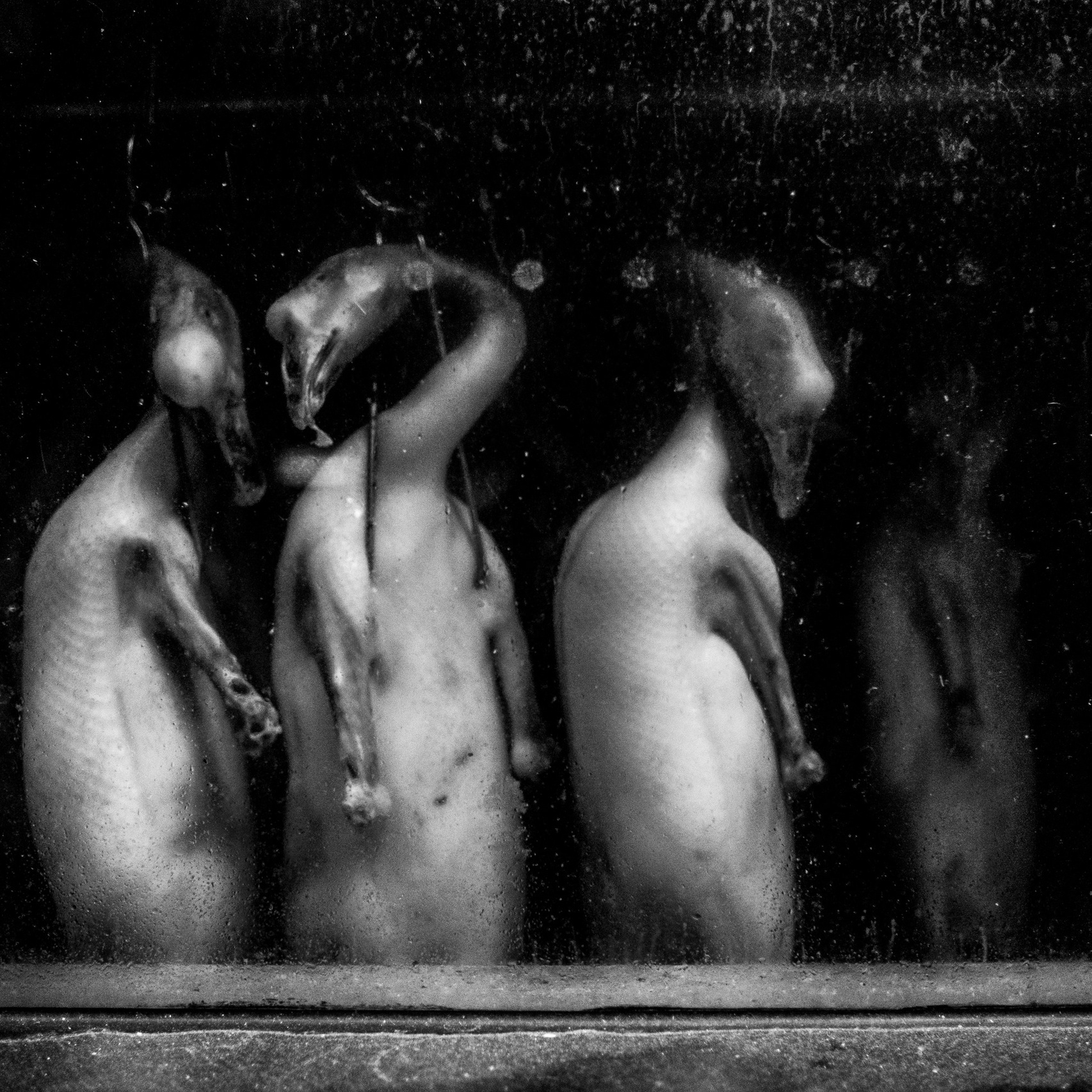 About. Khanaan Wang-Jingwei