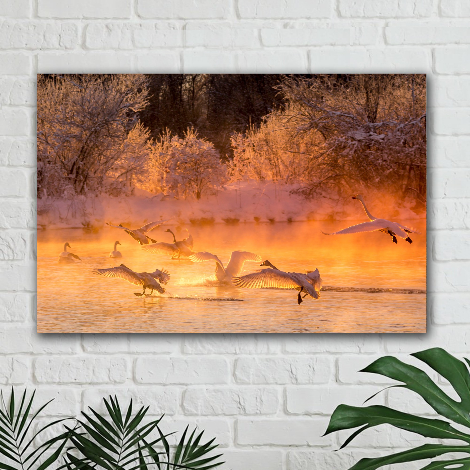 Фотокартины на заказ. Фотограф Евгений Кожевников