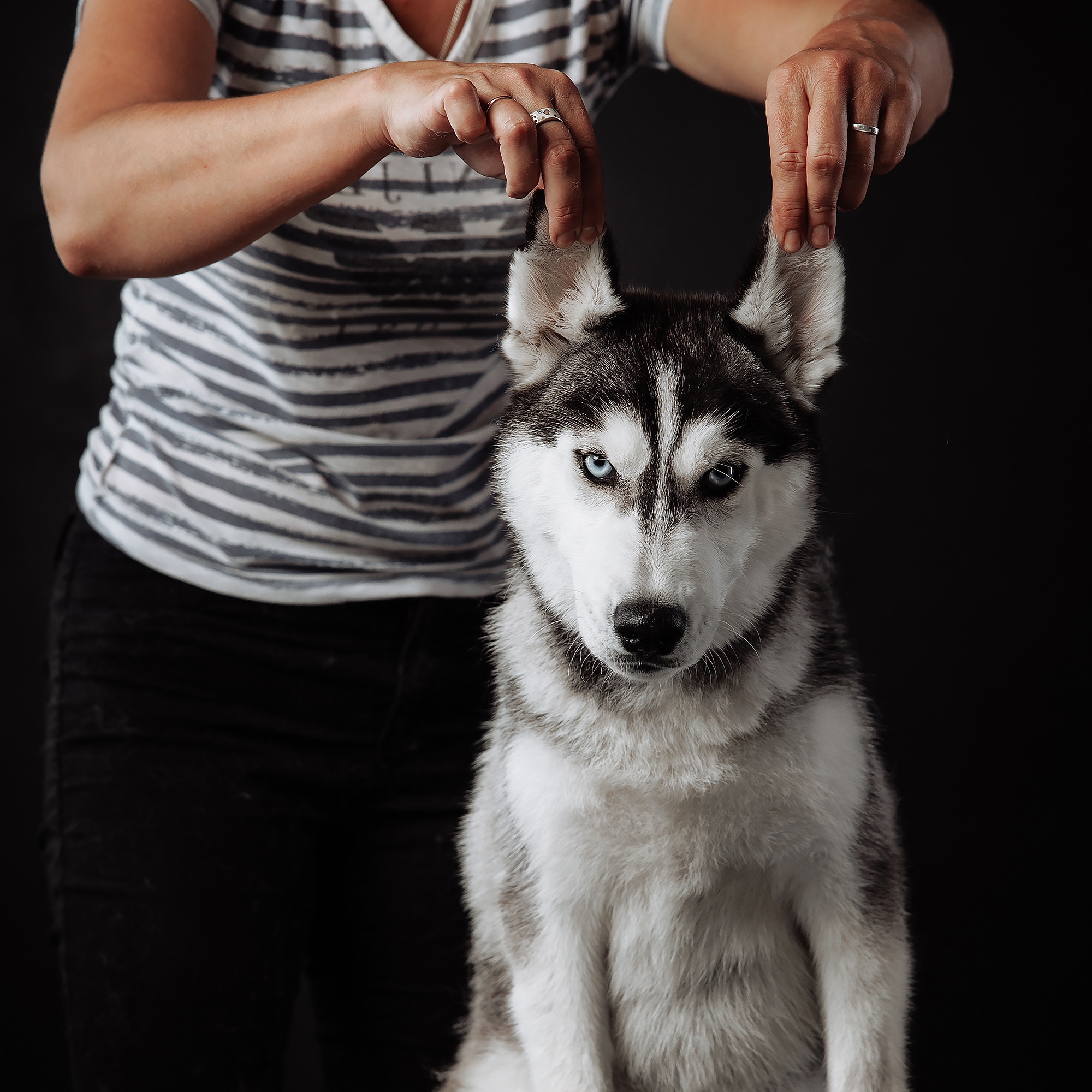 Питомникам. Фотограф-анималист Саша Вязьмина