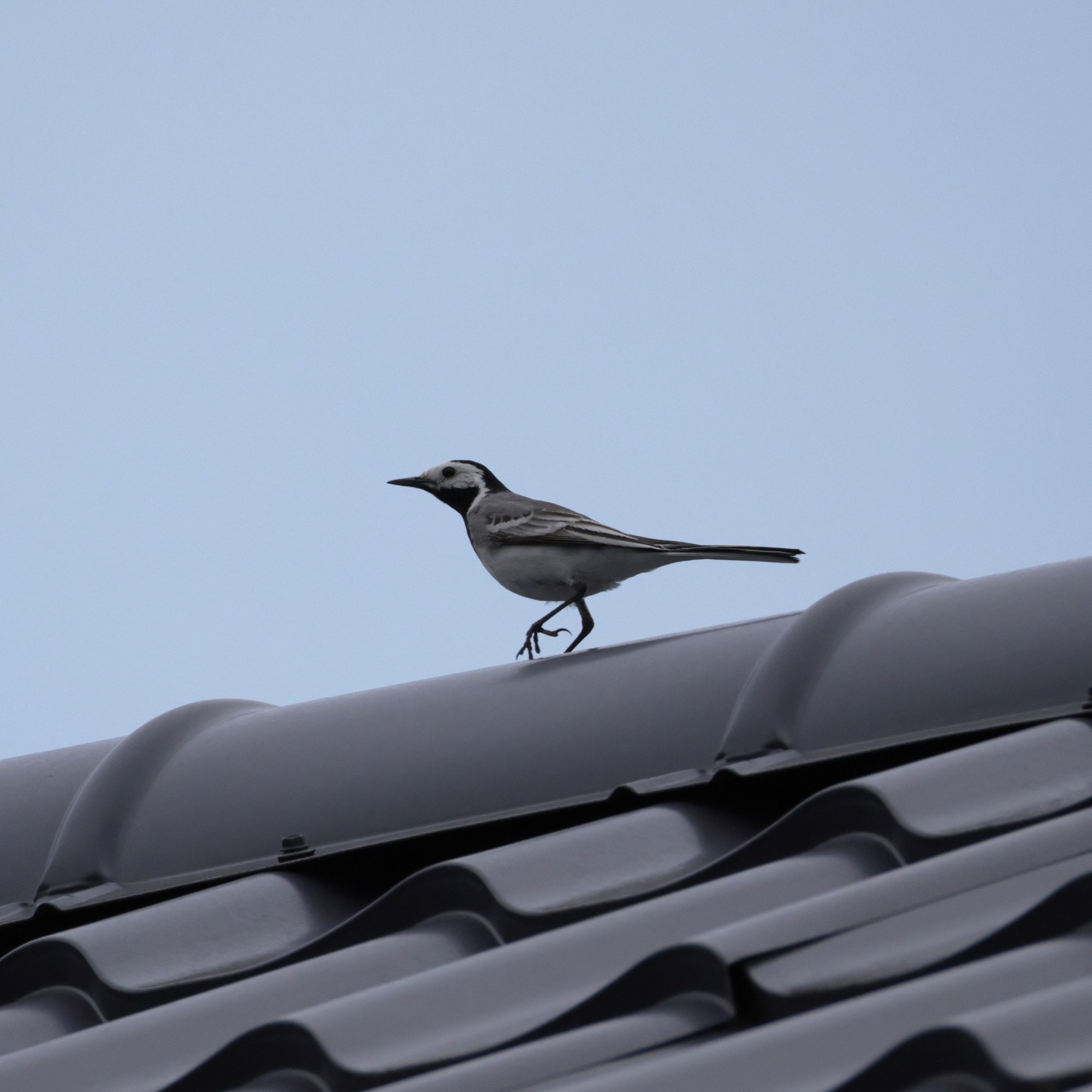 Выходные 7–8 июня