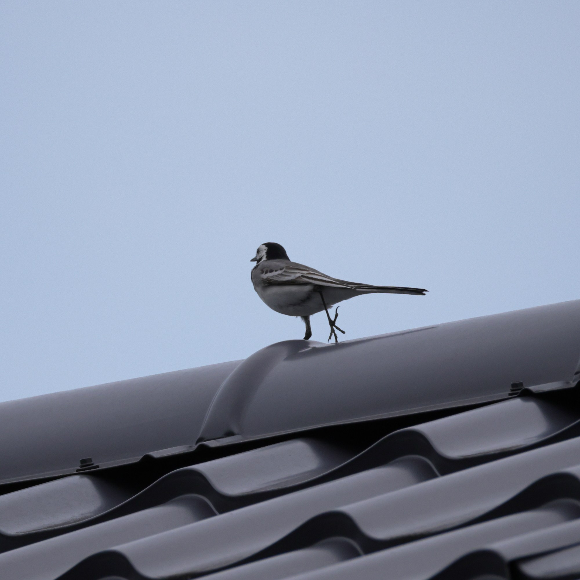 Выходные 7–8 июня