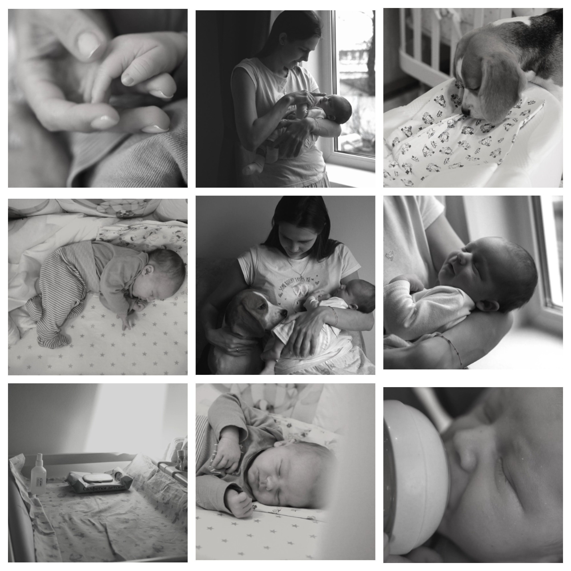 NEWBORN. Le_Dlu Фотограф Елена Длужинская