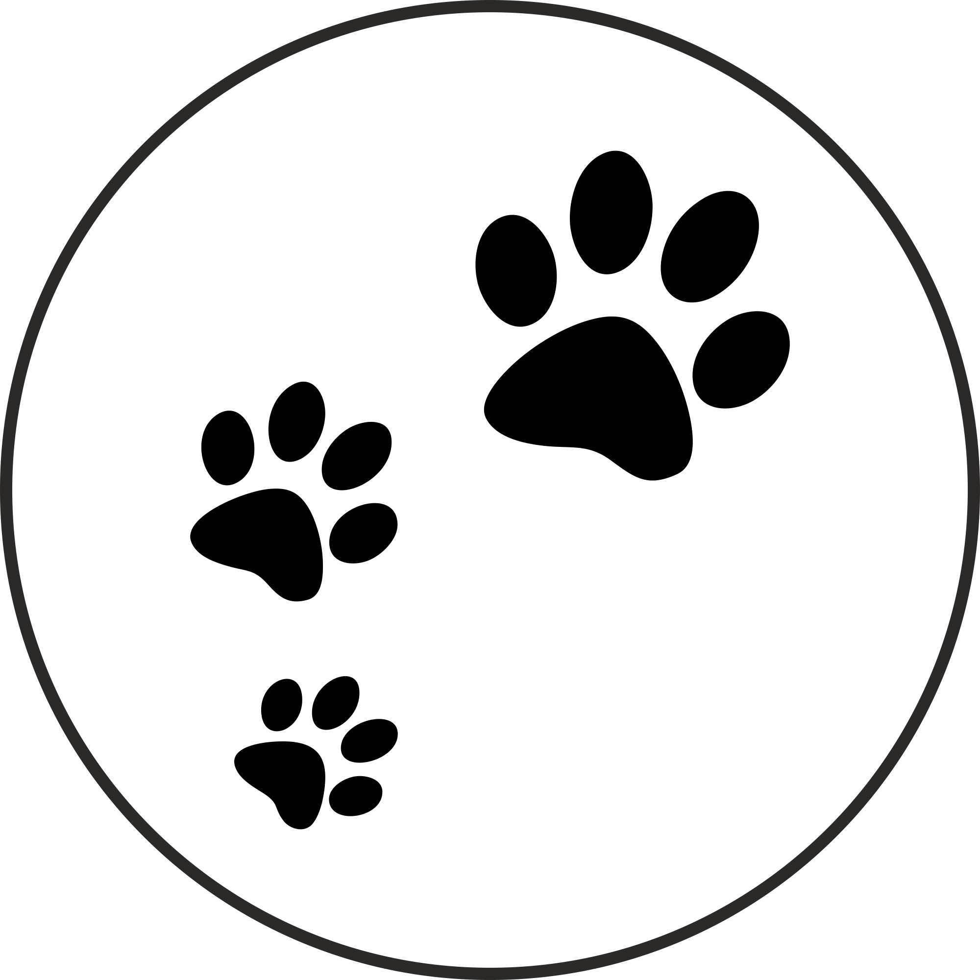 Очаровательные животные модели для вашей предметной съемки в Нижнем Новгороде.