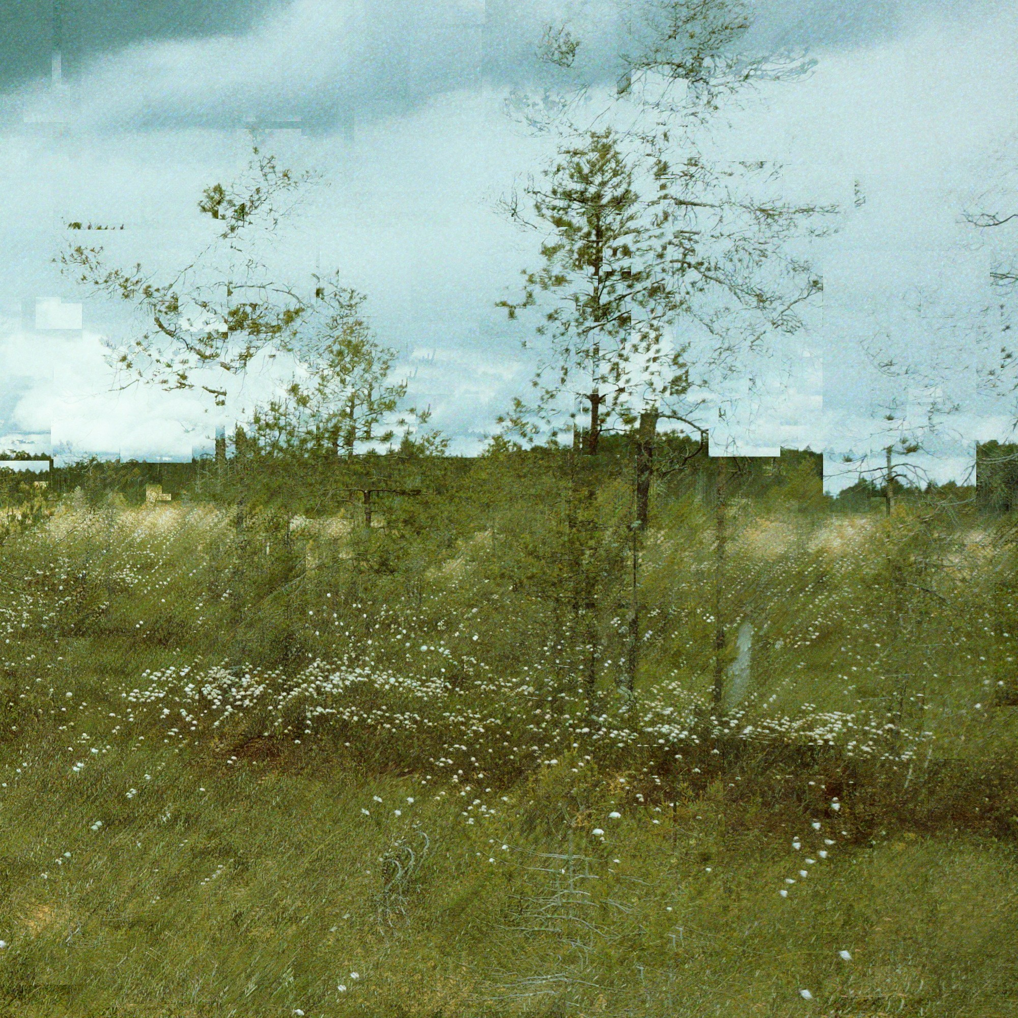 Дорога сквозь. Roman Hodirev is an esoteriologist, multidisciplinary artist, photographer and musician. Saint Petersburg, Riga