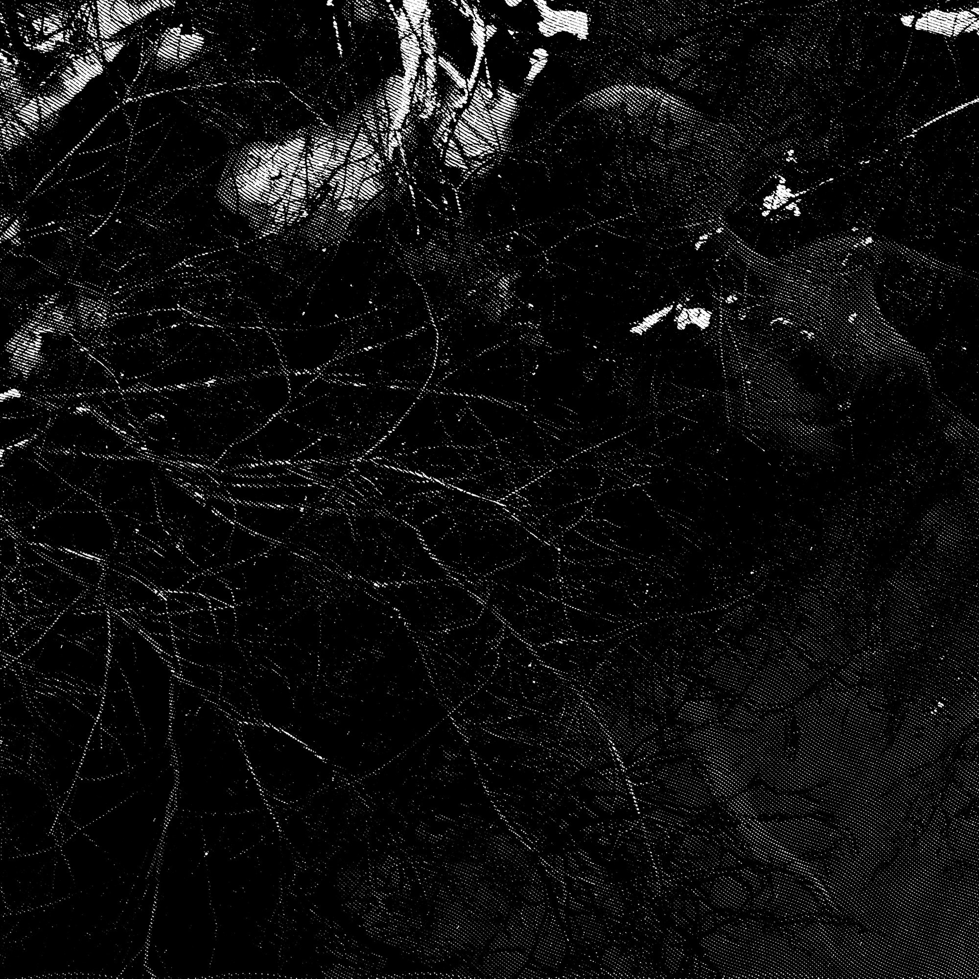 Meerjungfrau dream of tube TV No. 321024. Роман Ходырев — эзотериолог, художник, фотограф и музыкант. Санкт-Петербург, Рига