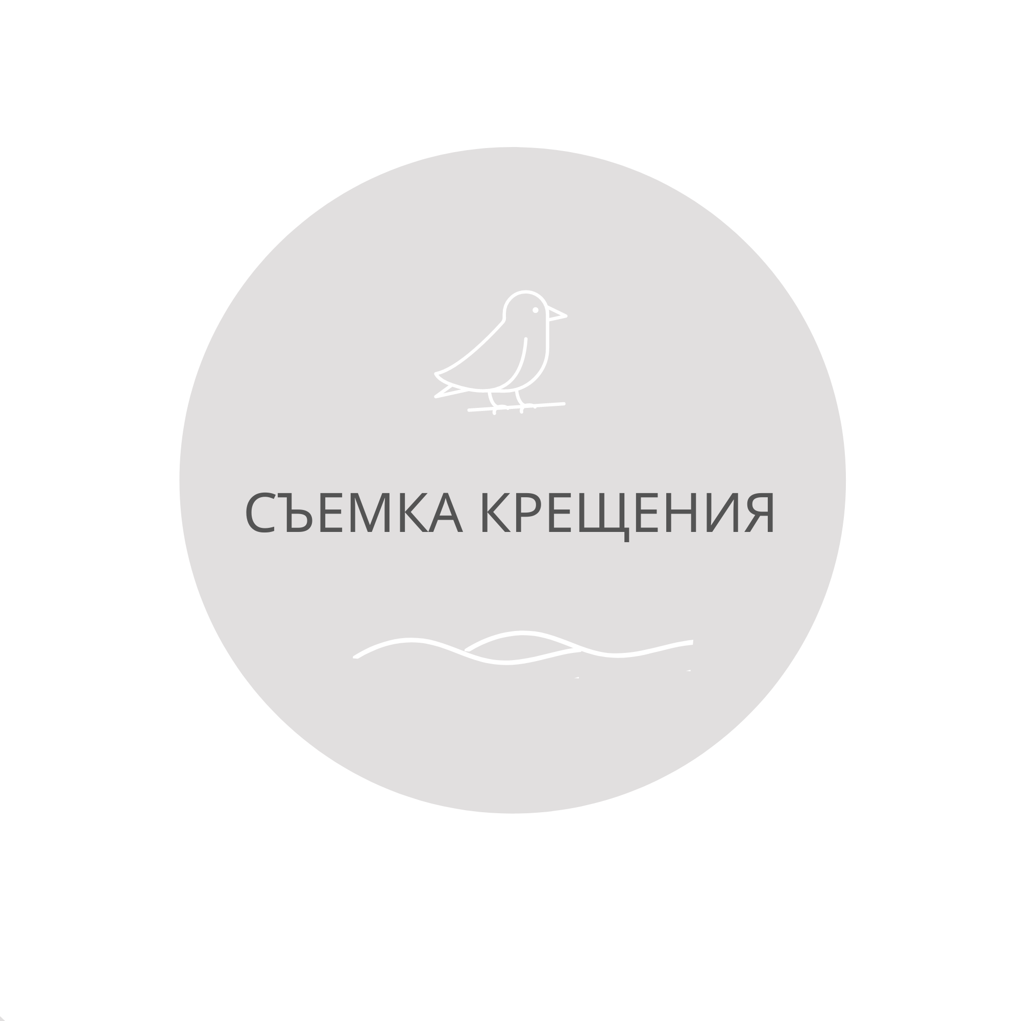 Первая фотостудия новорожденных в г. Кемерово