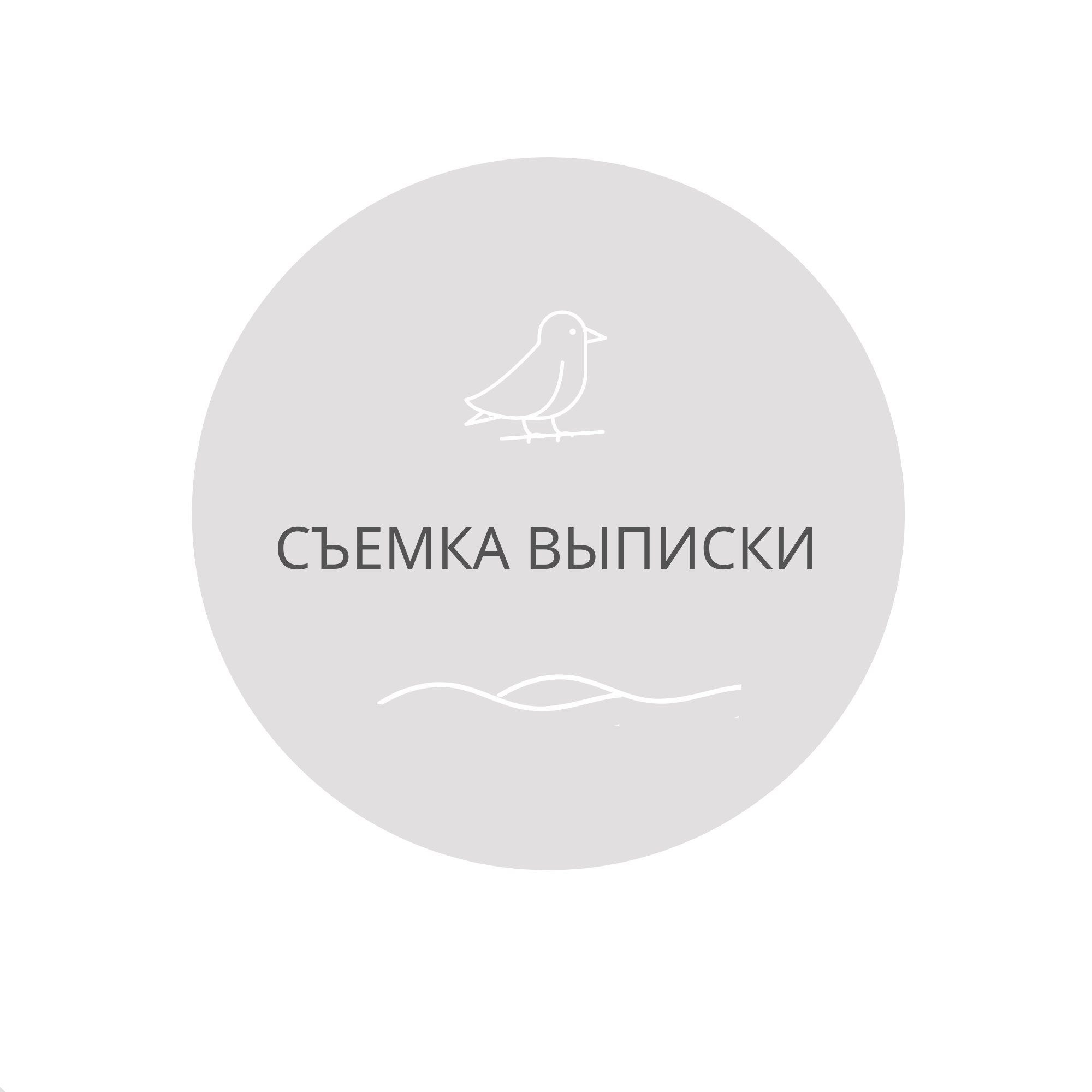 Первая фотостудия новорожденных в г. Кемерово