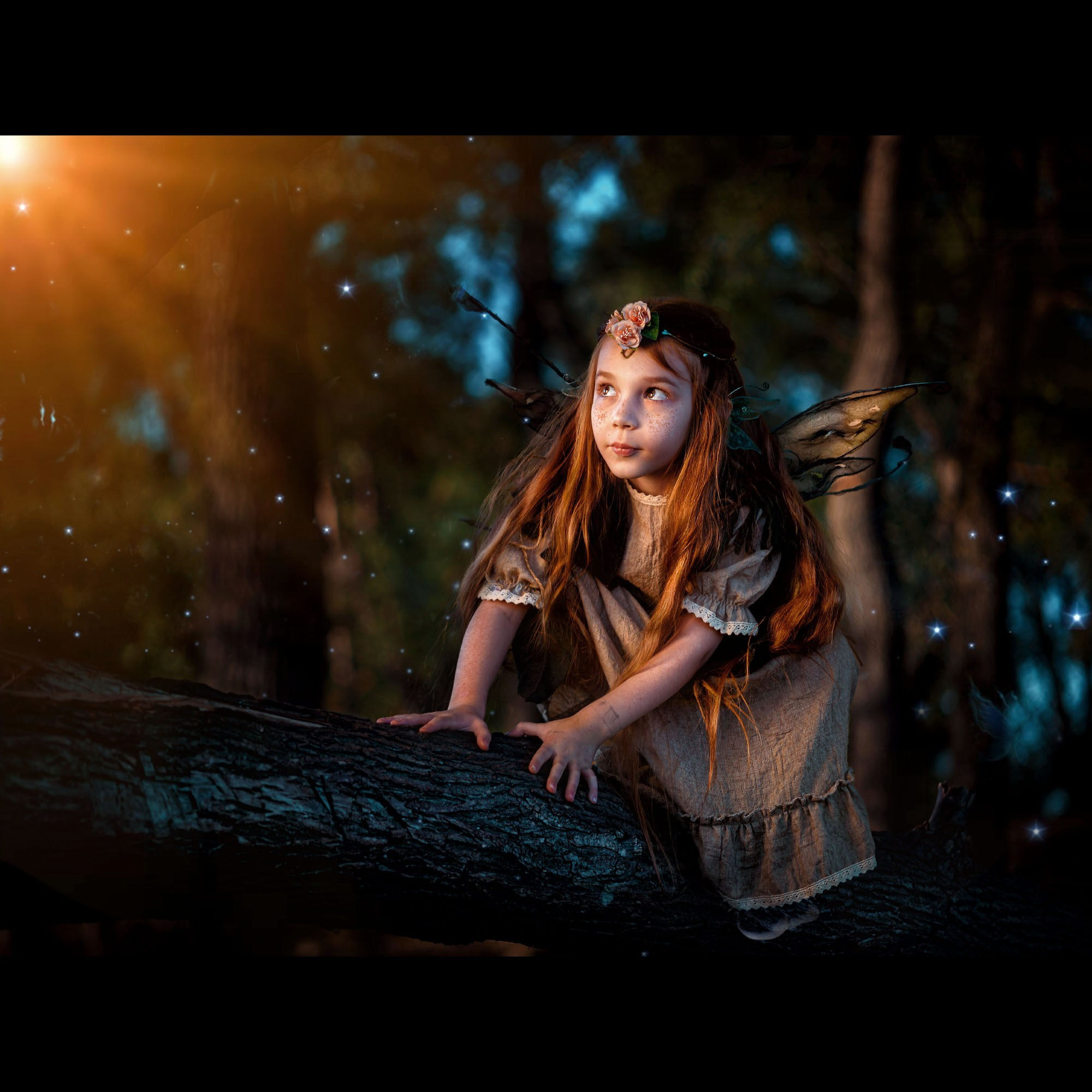 Фотограф в Петропавловске Дмитрий Кошкаров