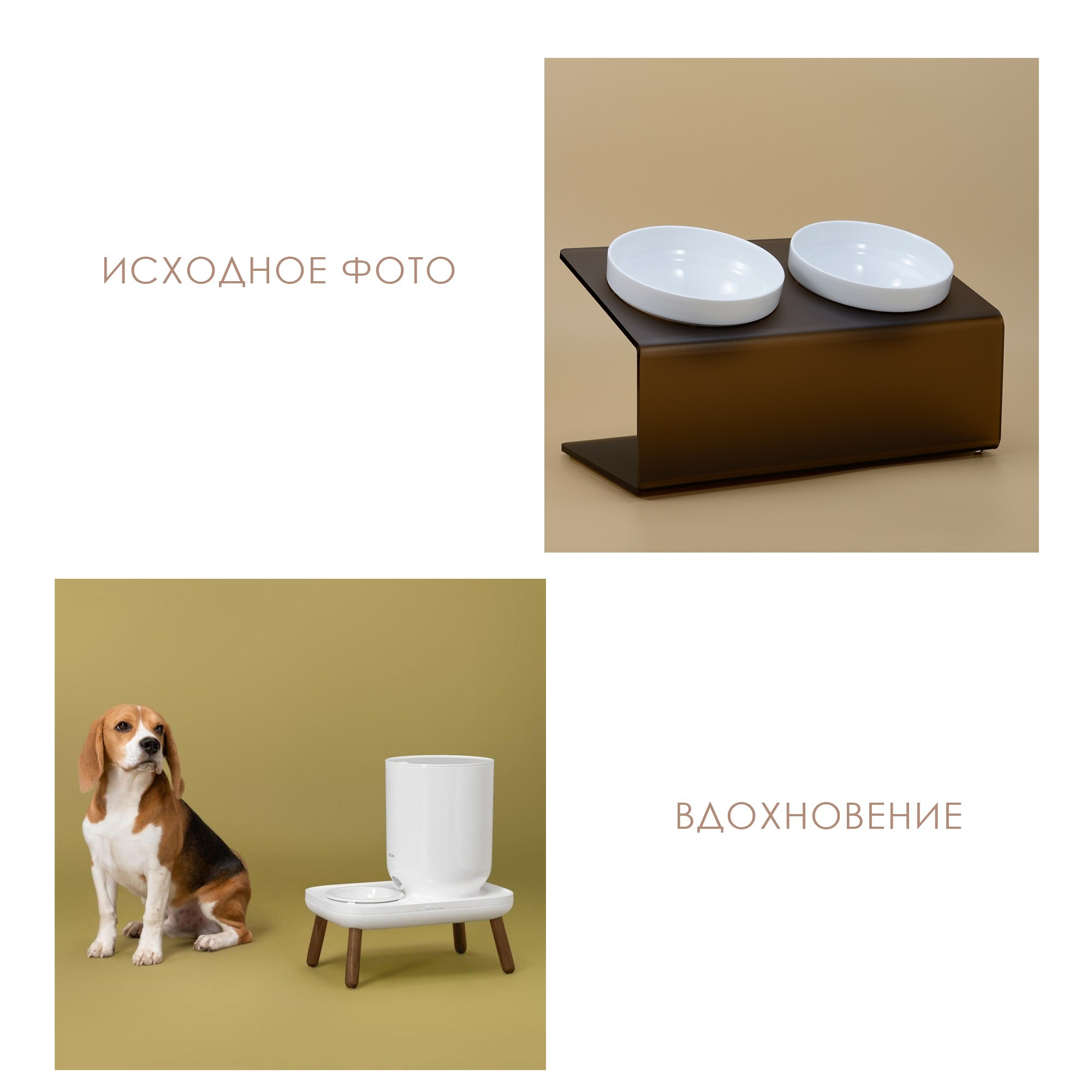 Инфографика. София Шадрина — ретушер, цветокорректор