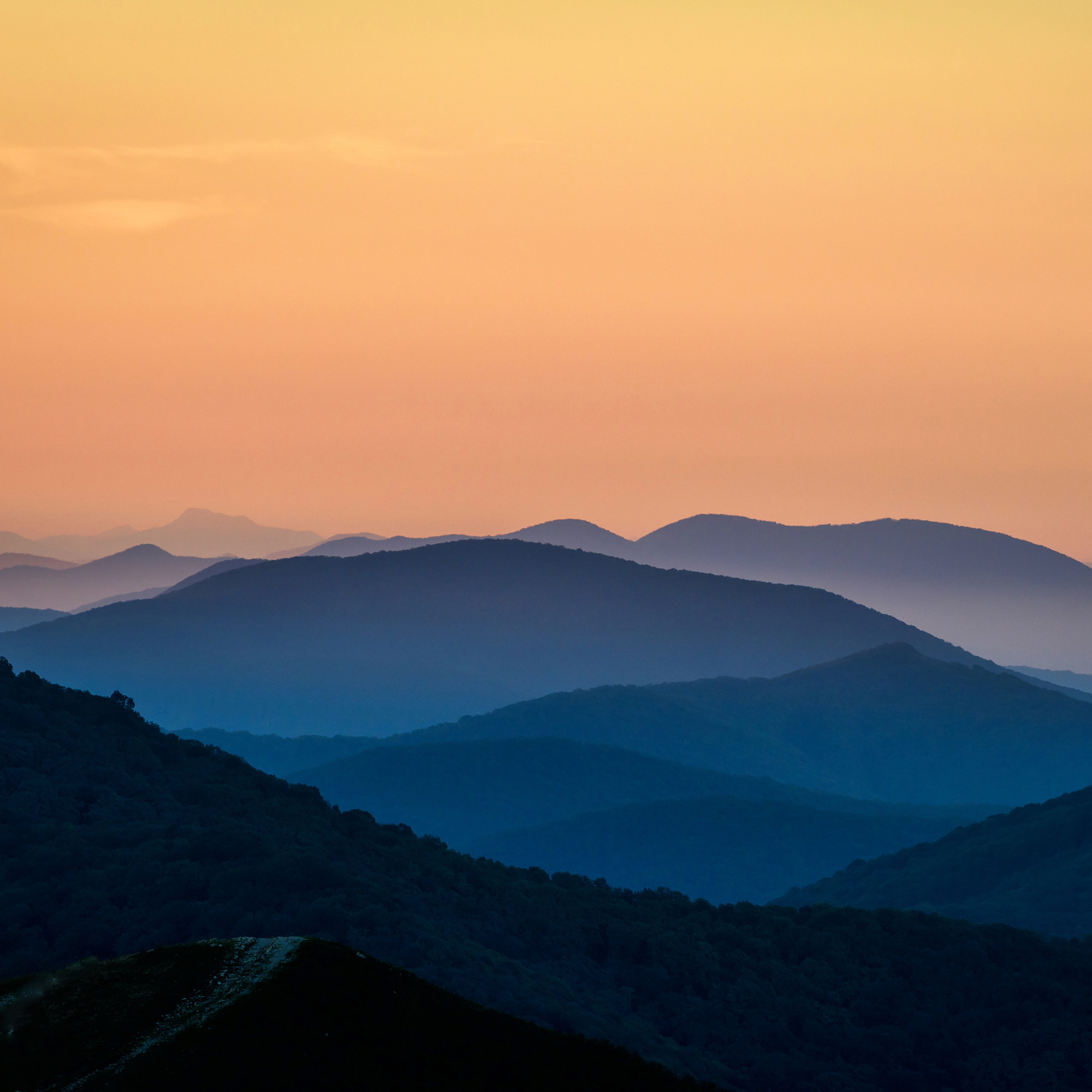 Работы, на дереве, холсте, стекле, которые можно приобрести. Яркие фото на Чёрном море