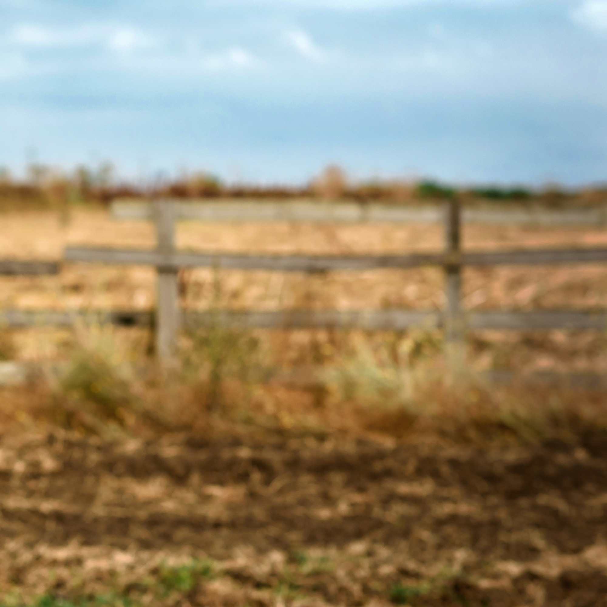 Работы, на дереве, холсте, стекле, которые можно приобрести. Яркие фото на Чёрном море