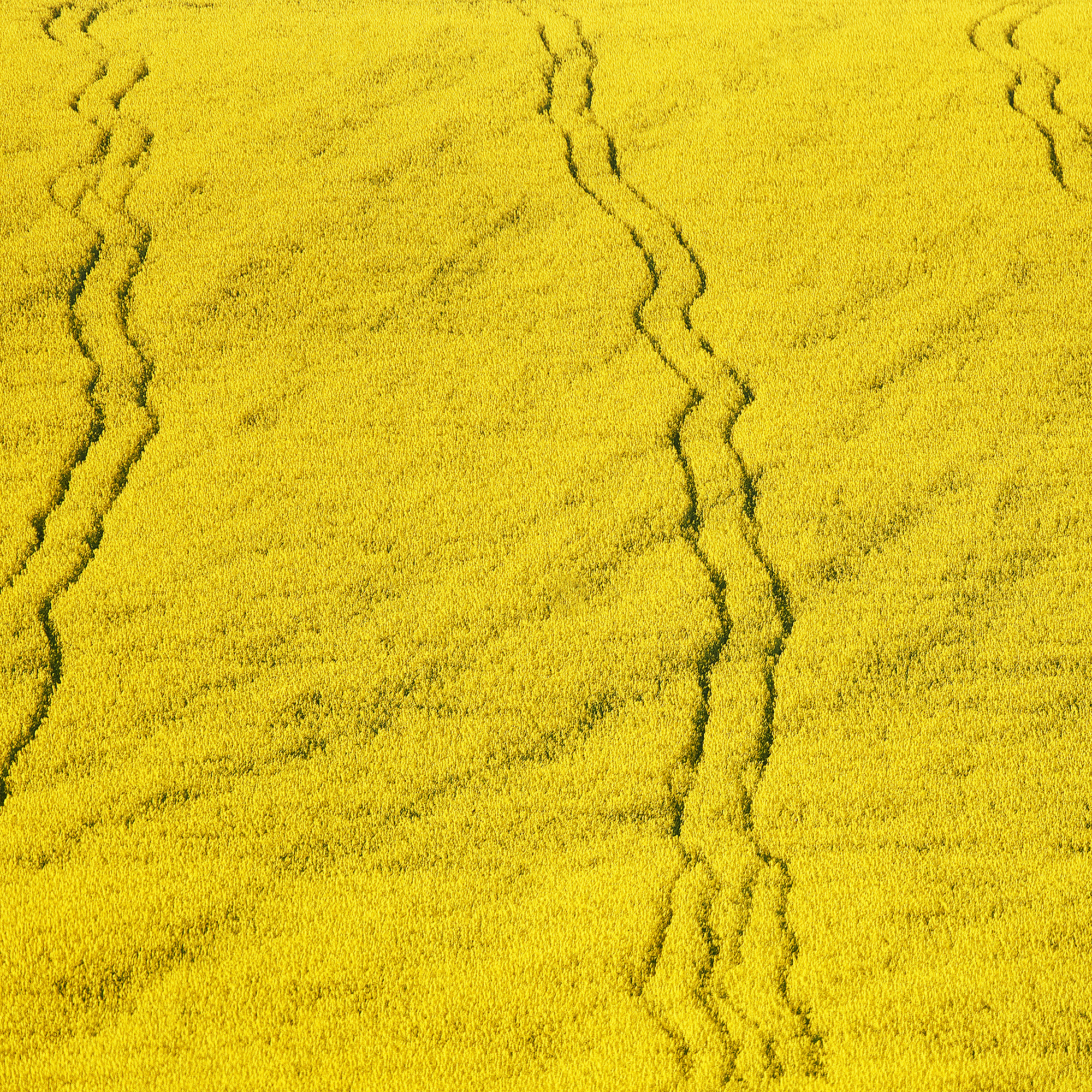 Работы, на дереве, холсте, стекле, которые можно приобрести. Яркие фото на Чёрном море