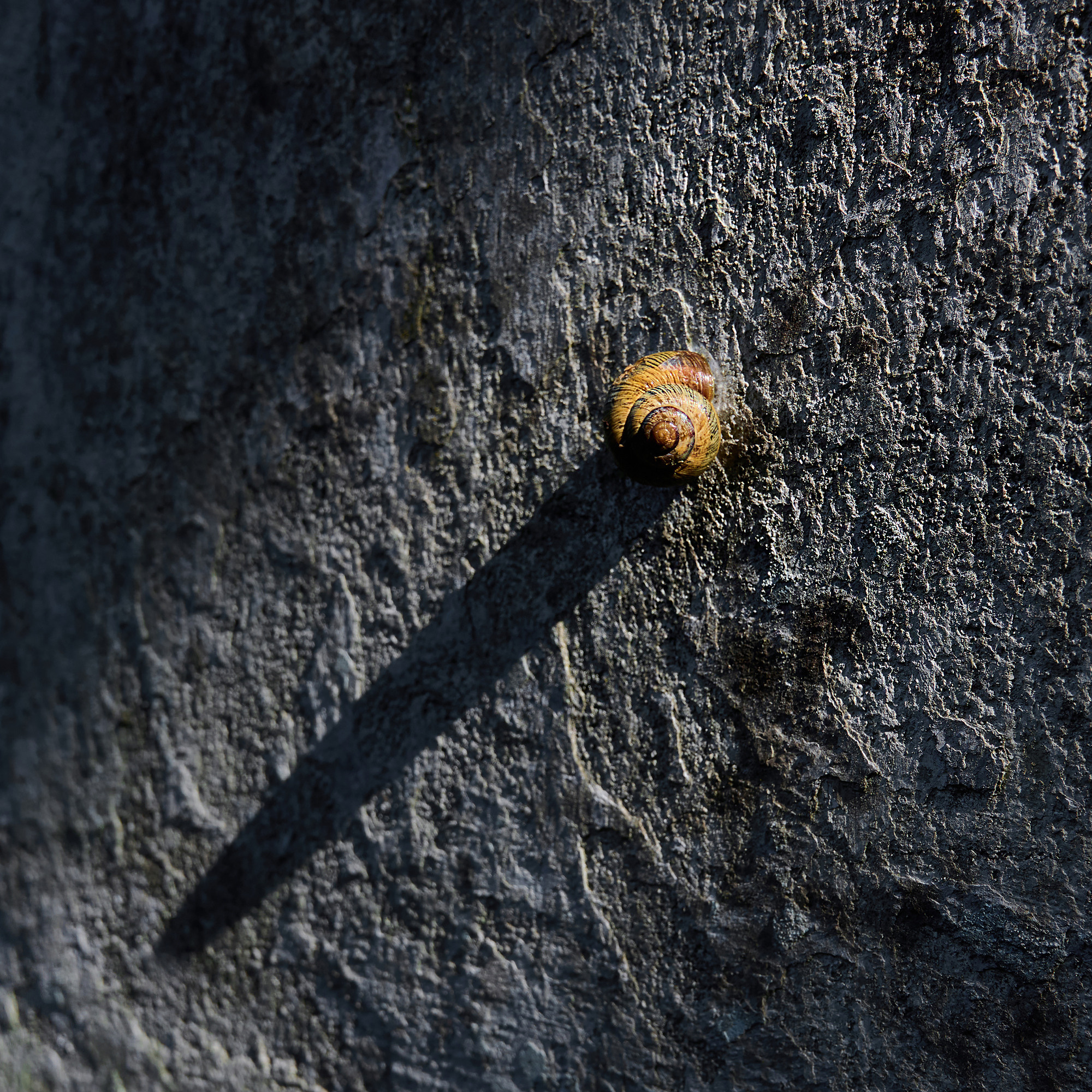 Работы, на дереве, холсте, стекле, которые можно приобрести. Яркие фото на Чёрном море