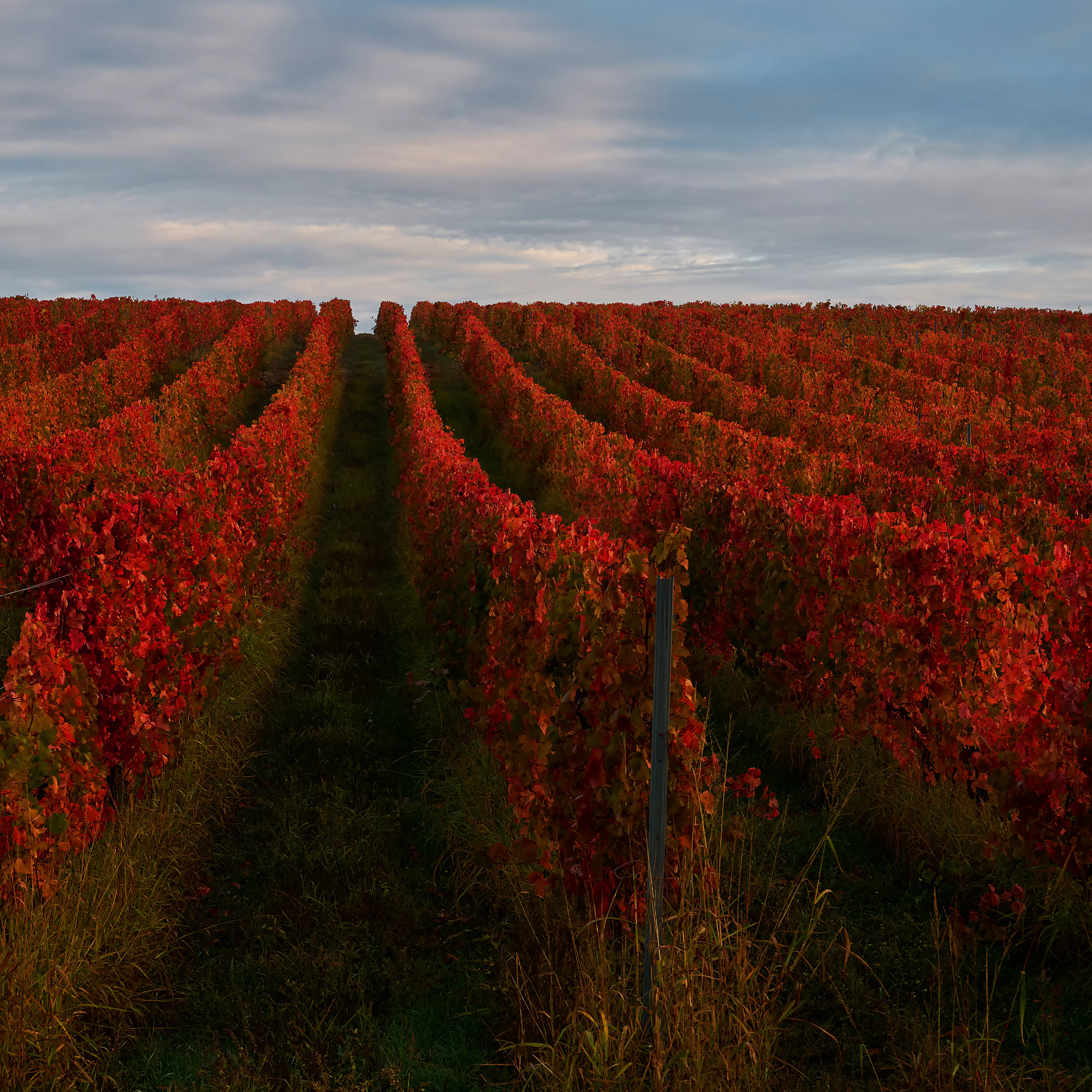 Работы, на дереве, холсте, стекле, которые можно приобрести. Яркие фото на Чёрном море