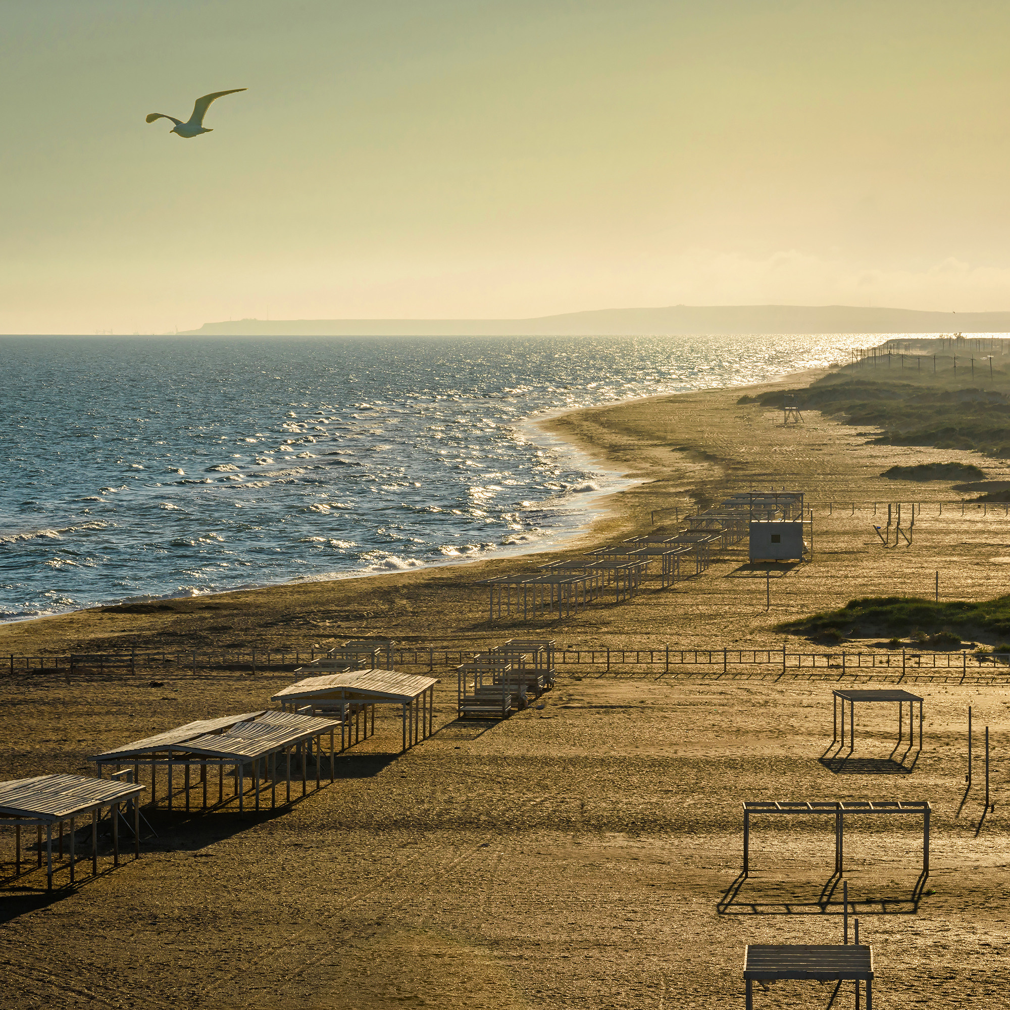 Работы, на дереве, холсте, стекле, которые можно приобрести. Яркие фото на Чёрном море