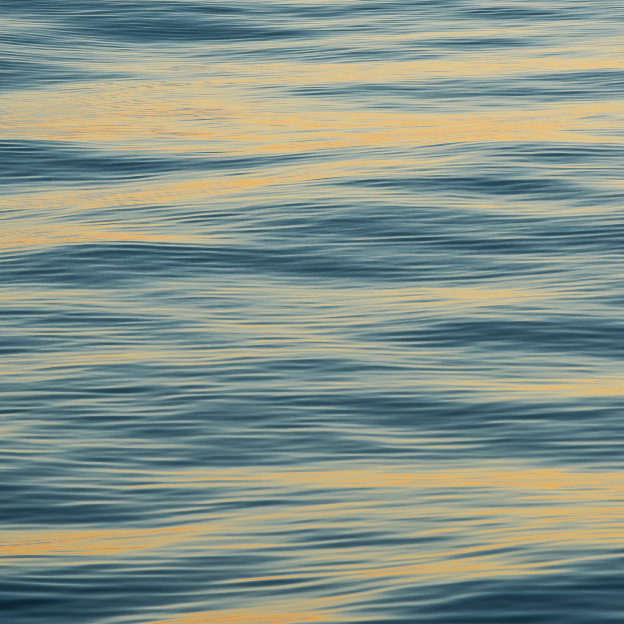 Работы, на дереве, холсте, стекле, которые можно приобрести. Яркие фото на Чёрном море