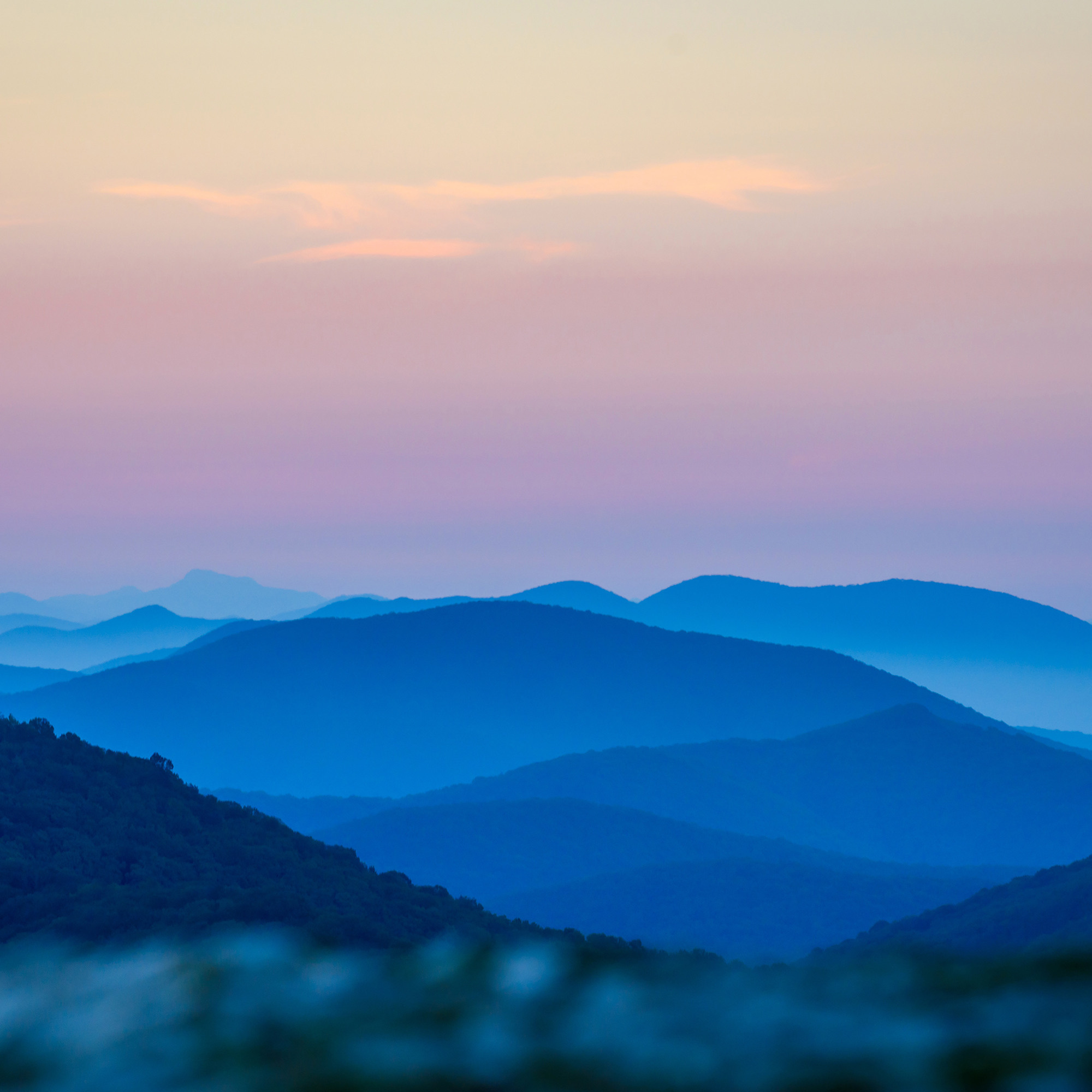 Работы, на дереве, холсте, стекле, которые можно приобрести. Яркие фото на Чёрном море
