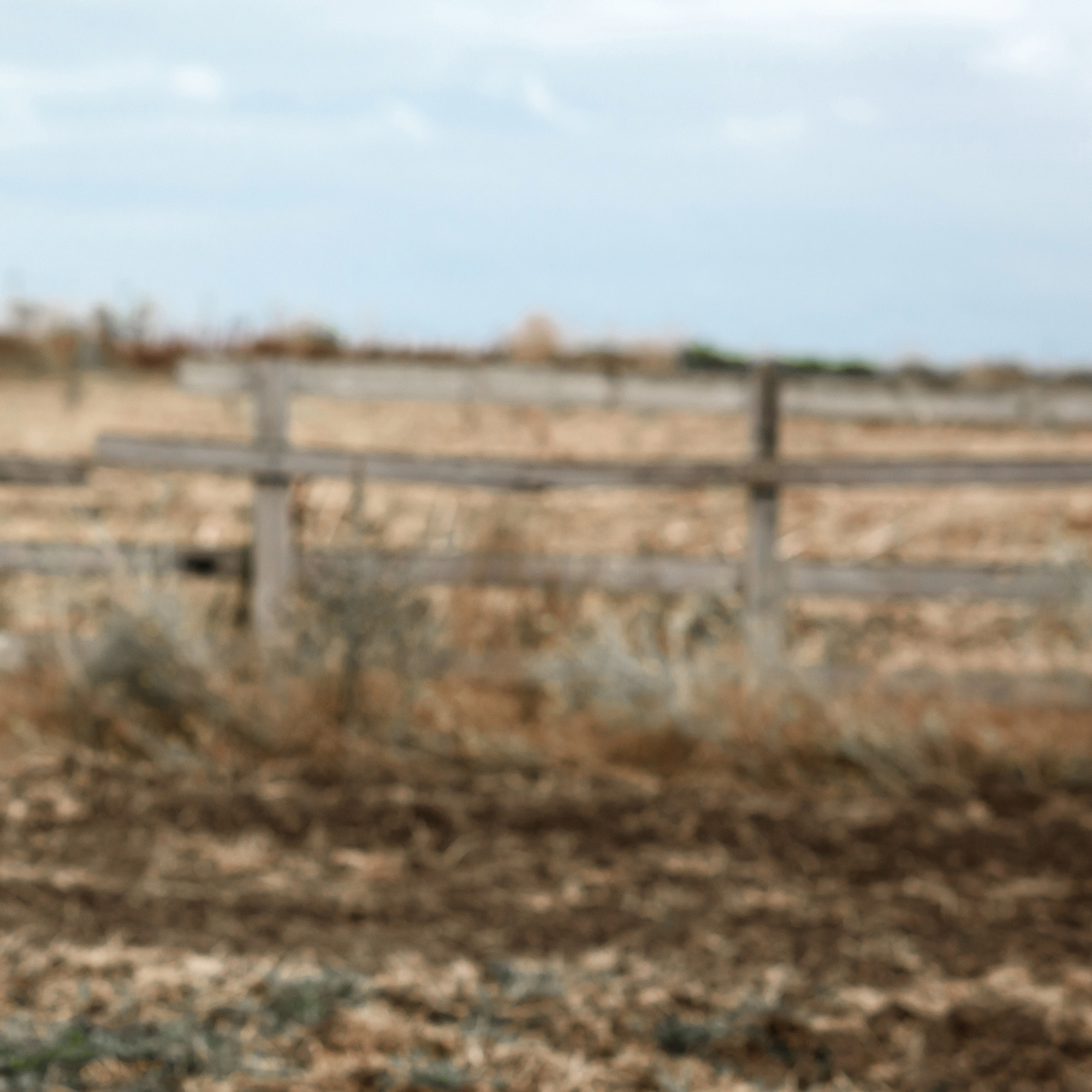 Работы, на дереве, холсте, стекле, которые можно приобрести. Яркие фото на Чёрном море