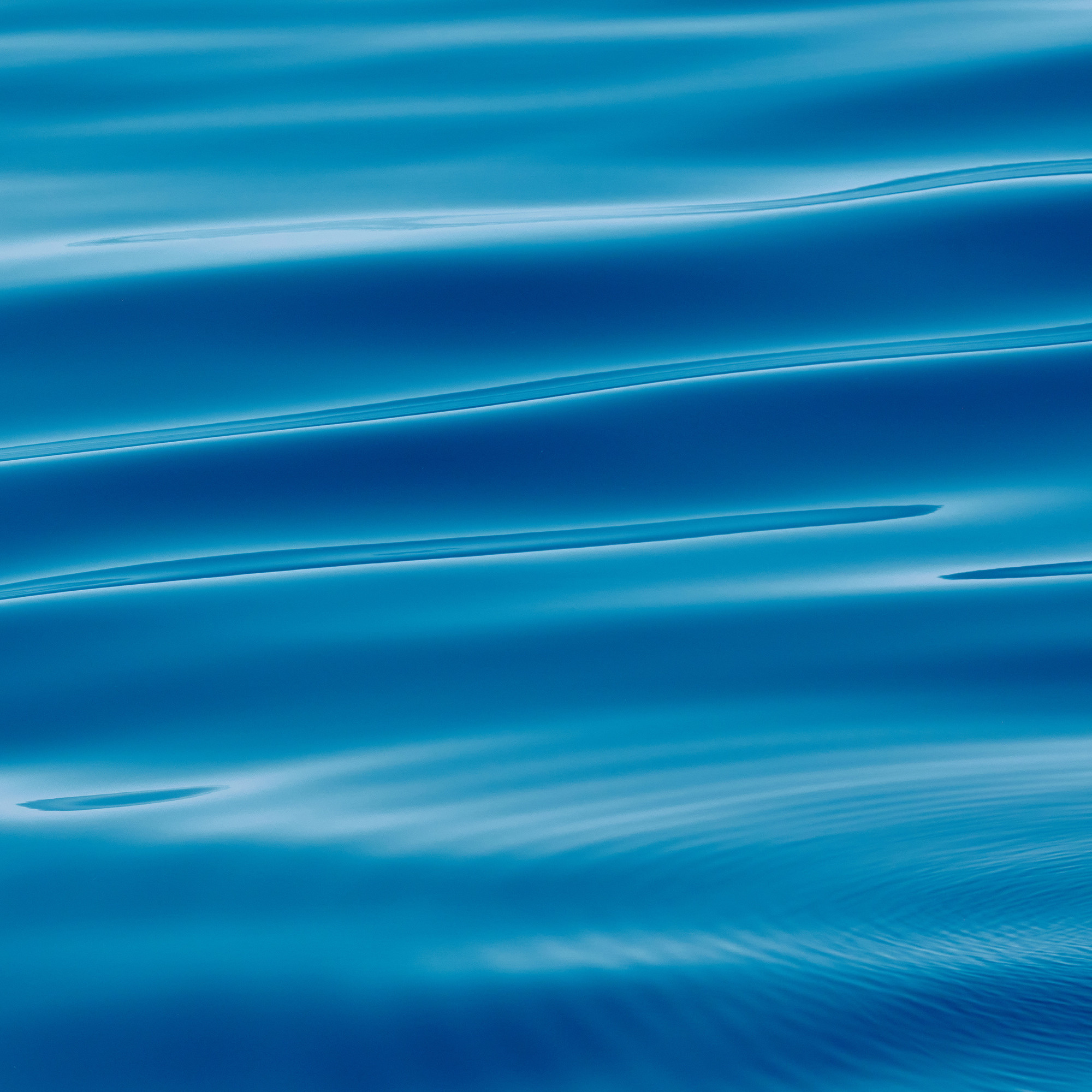 Работы, на дереве, холсте, стекле, которые можно приобрести. Яркие фото на Чёрном море