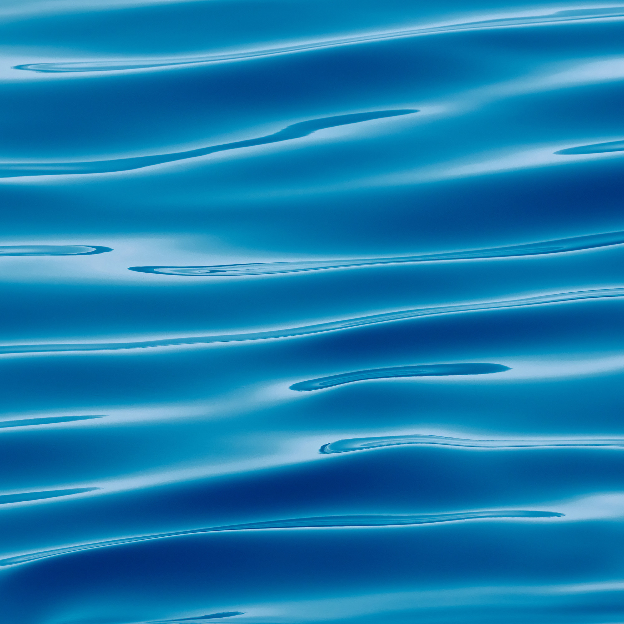 Работы, на дереве, холсте, стекле, которые можно приобрести. Яркие фото на Чёрном море