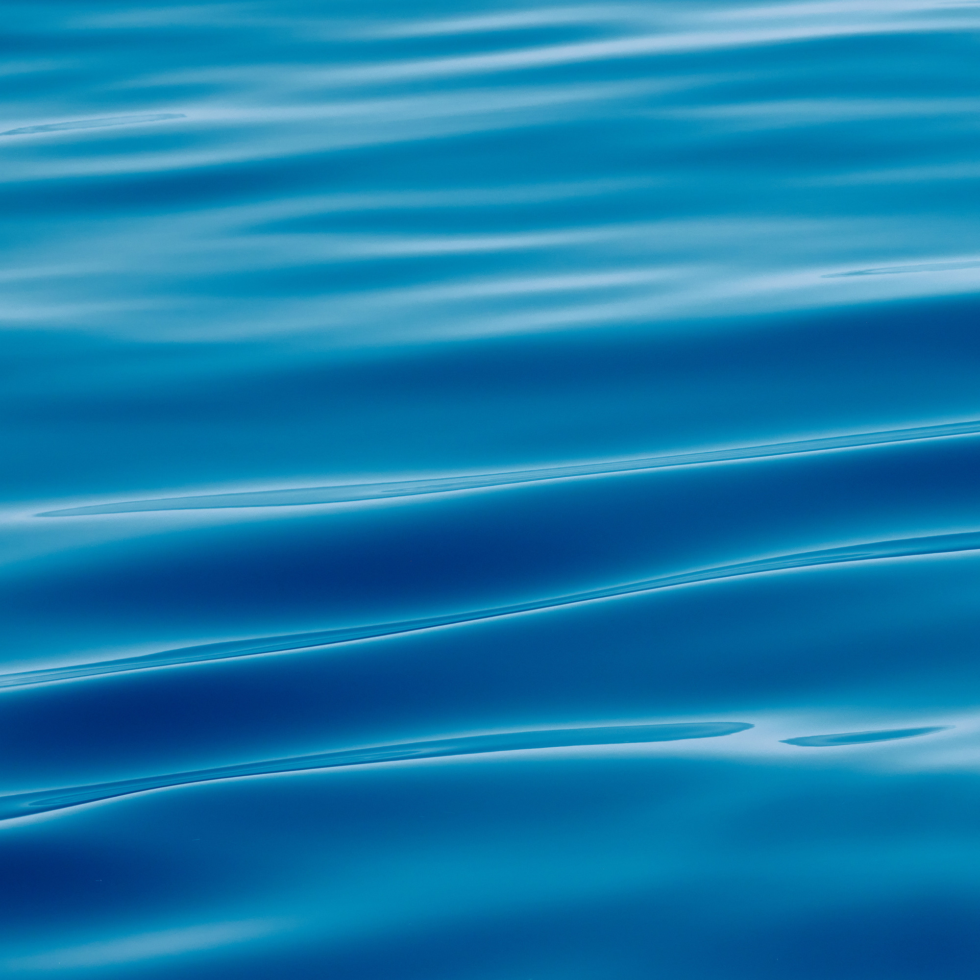 Работы, на дереве, холсте, стекле, которые можно приобрести. Яркие фото на Чёрном море