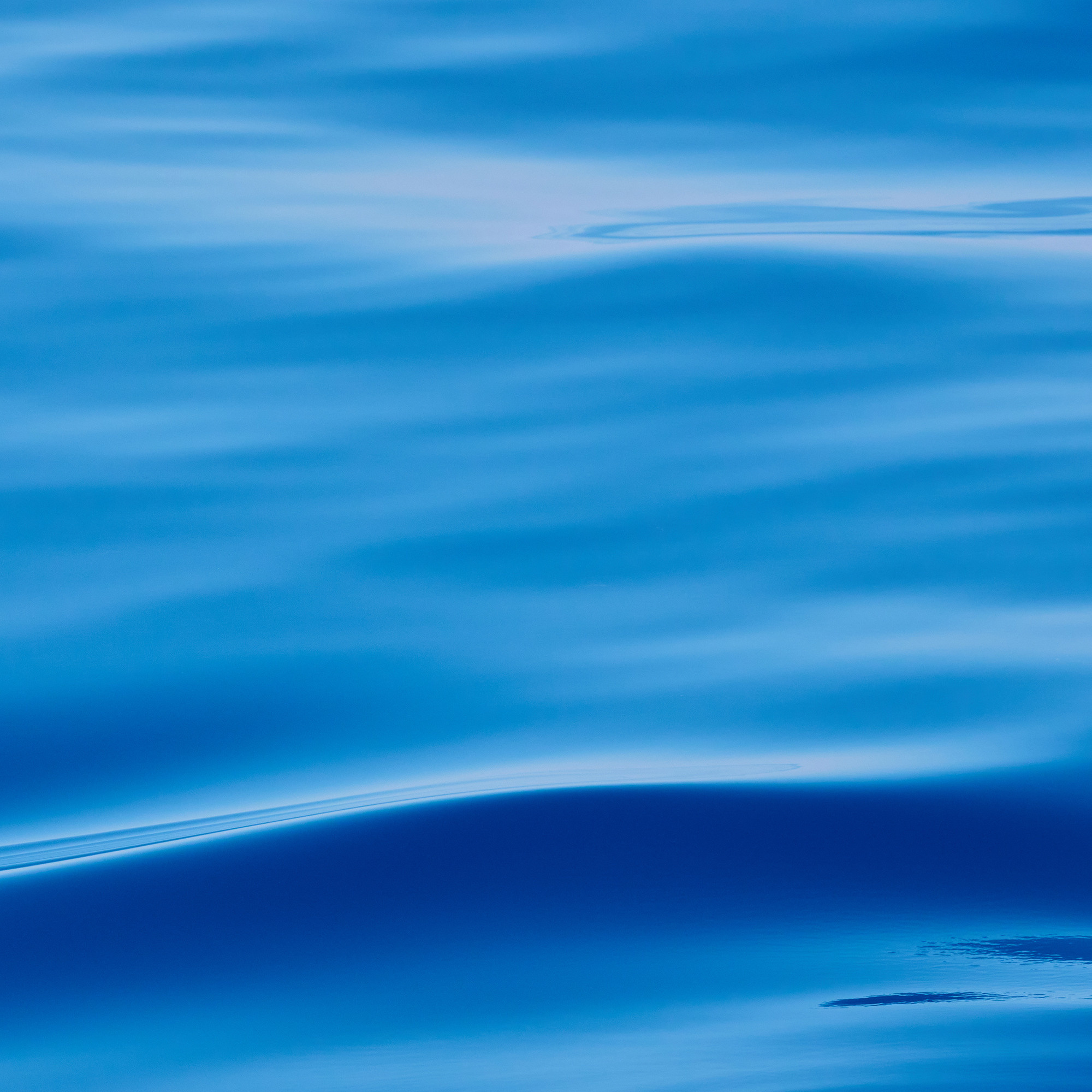 Работы, на дереве, холсте, стекле, которые можно приобрести. Яркие фото на Чёрном море